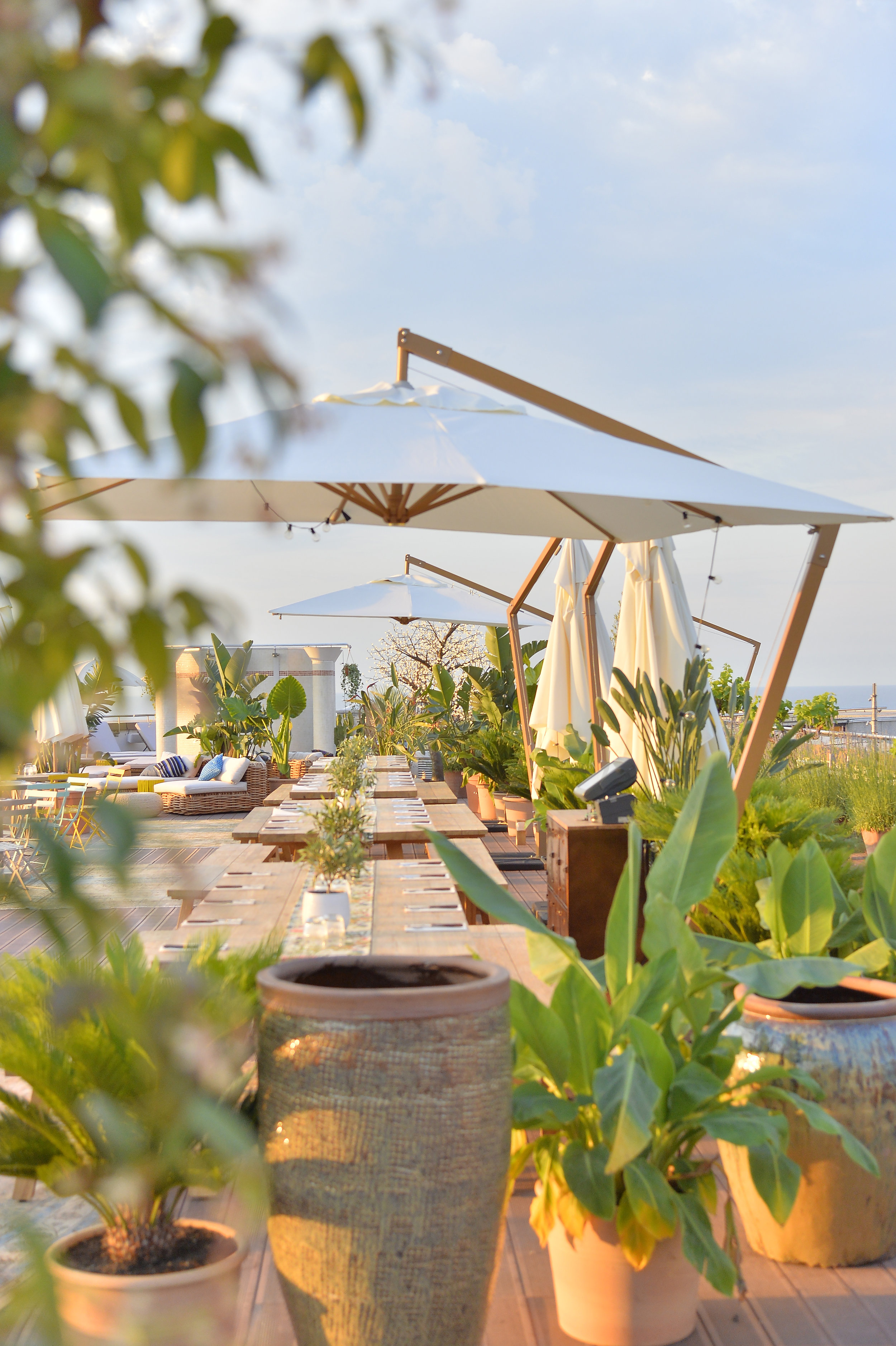 #28 - Farago on the roof