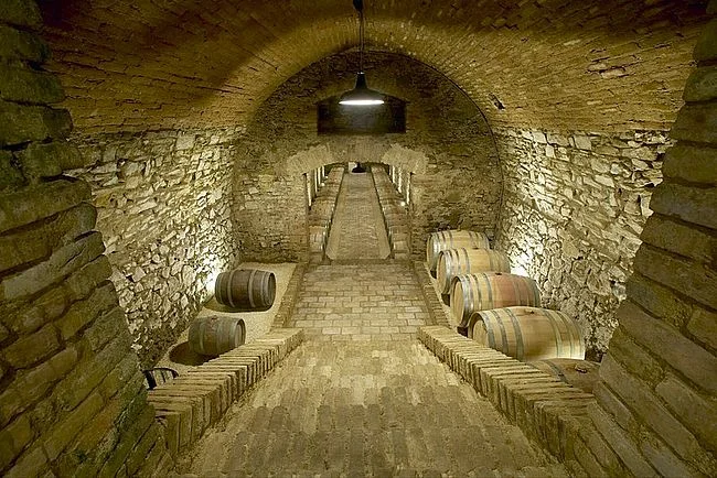 Foto-OWM-Weingut-Wieninger-.jpg