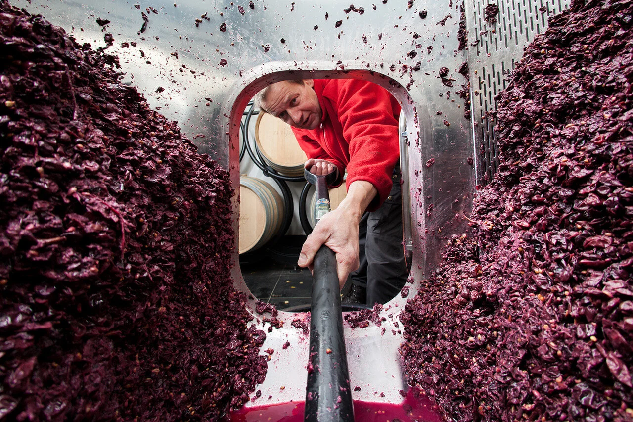 Domein de Wijngaardsberg - Mergelland