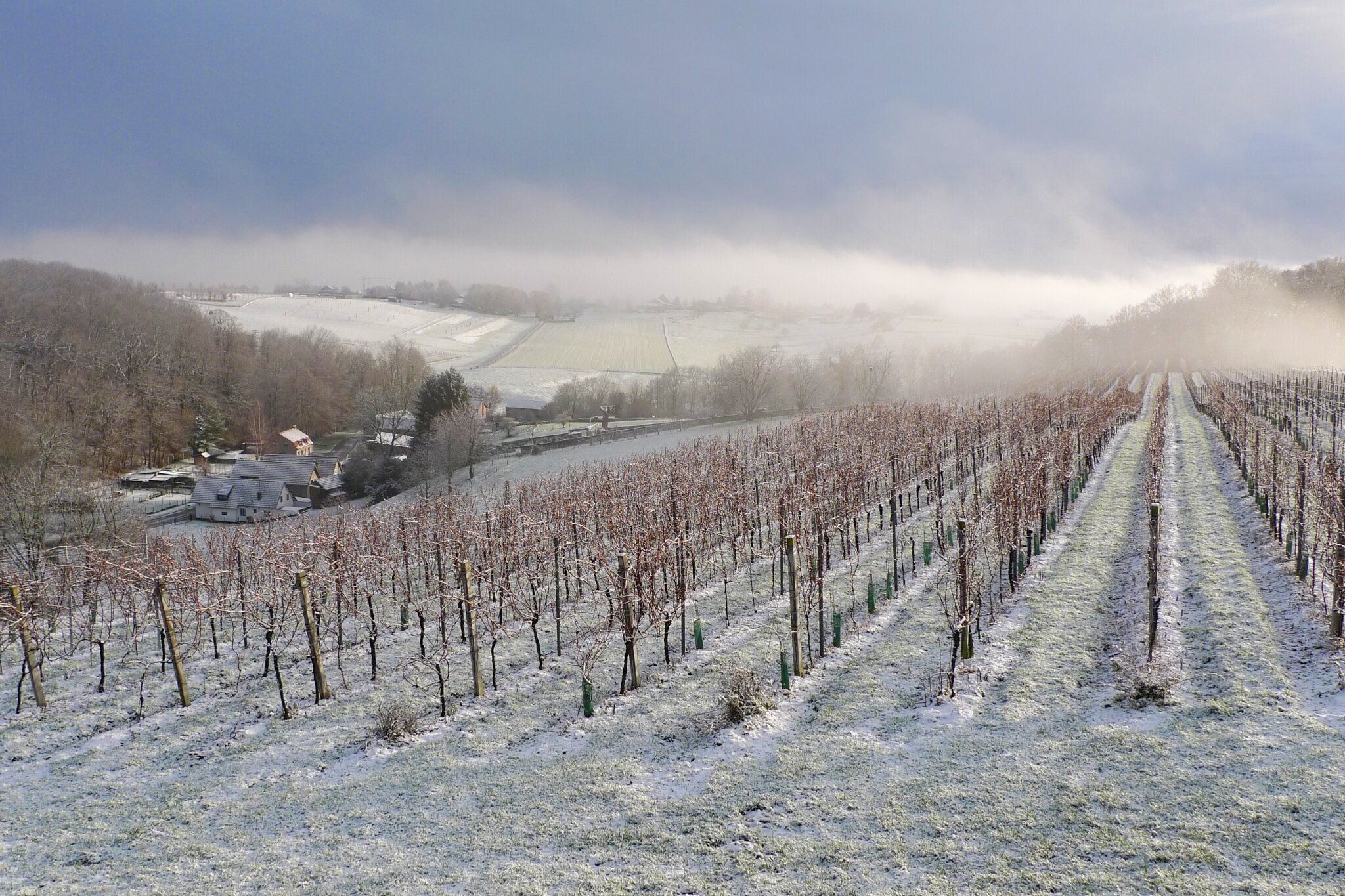 Winter in de terrassen.jpg