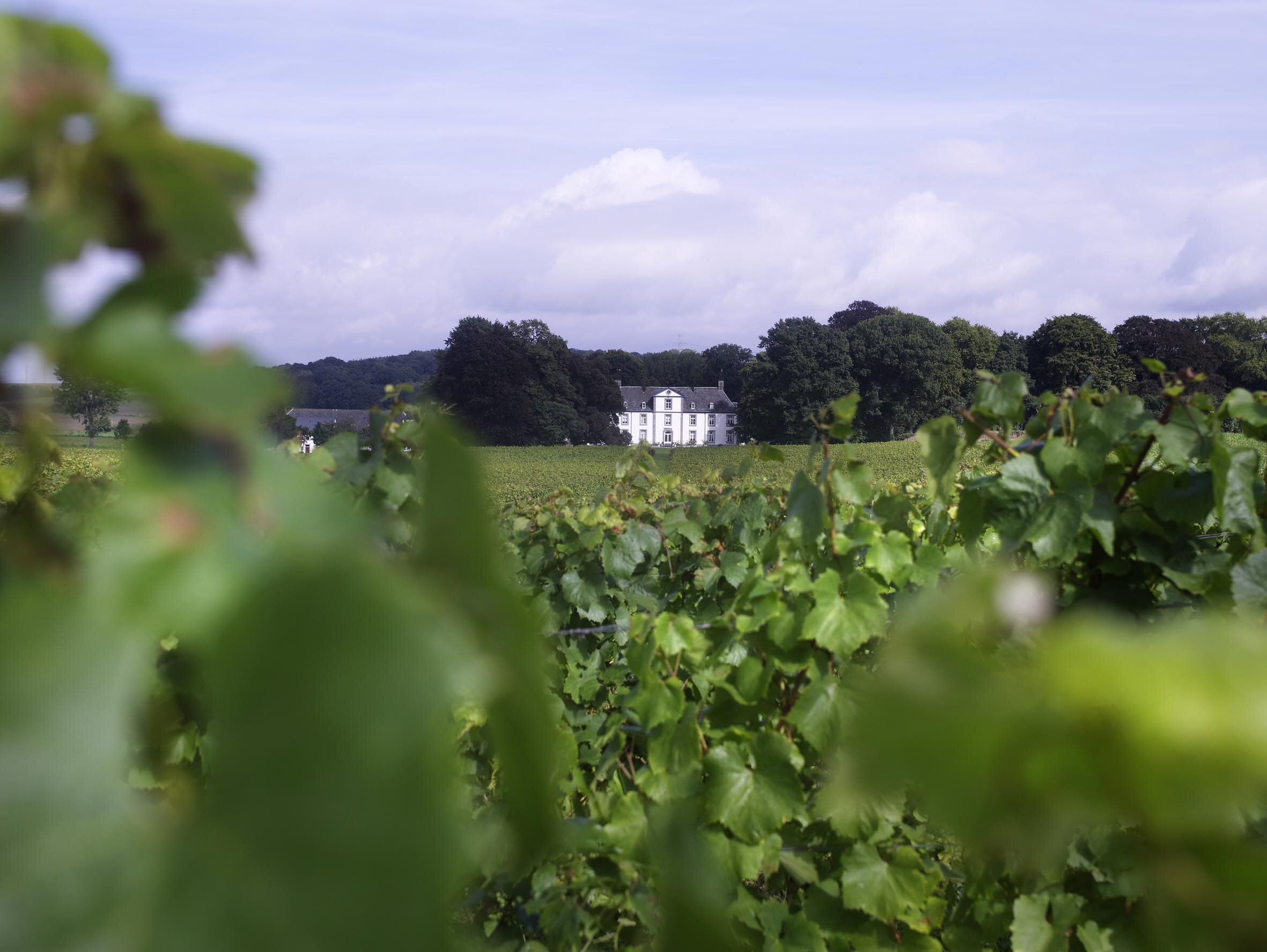 Genoels-Elderen_wijngaard+kasteel-scherp.jpg