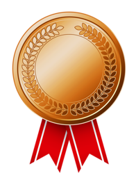 Bronze_Medal_(CCW_Awards).png