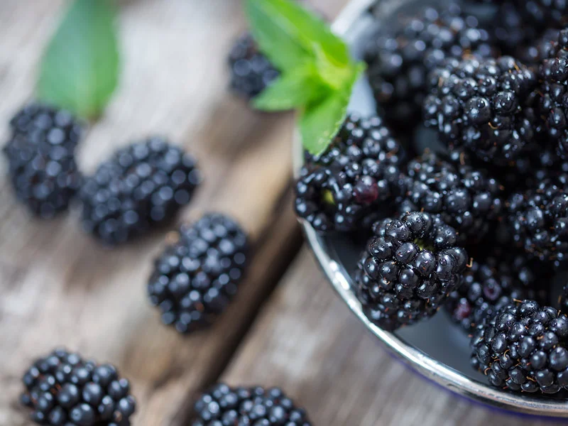 _-blackberry.jpg