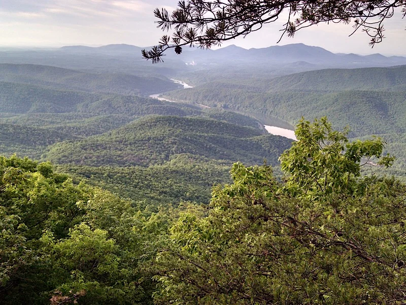 Almost out of the woods