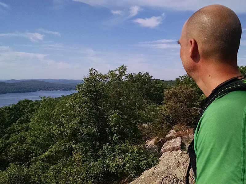 Insects bad.  Fireworks good.