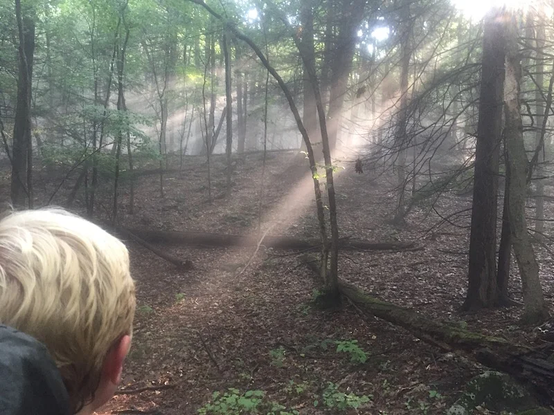 Damp days in southern New England 