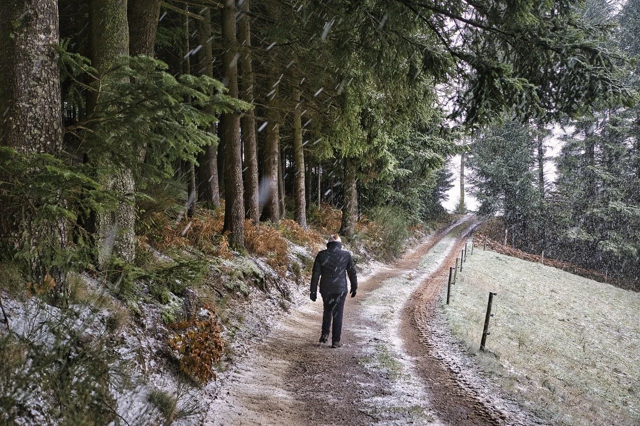Winter Walks