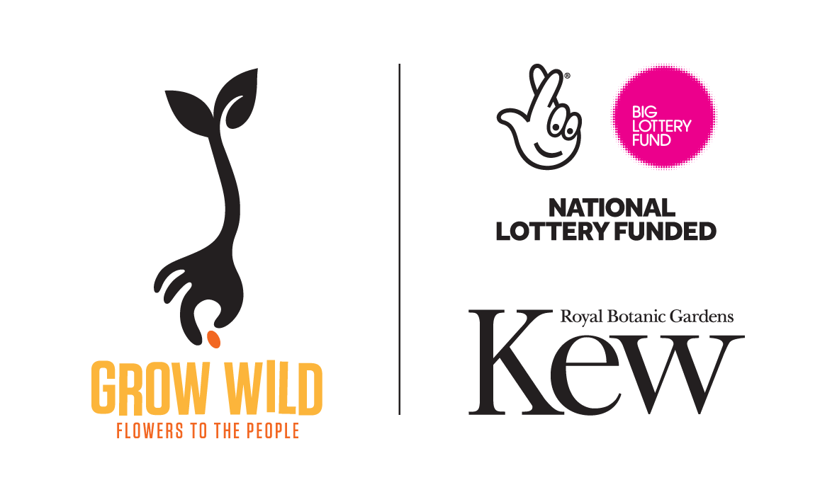 GrowWild_Kew_NLF_Logos_LockUp_Vertical_LightBG.png