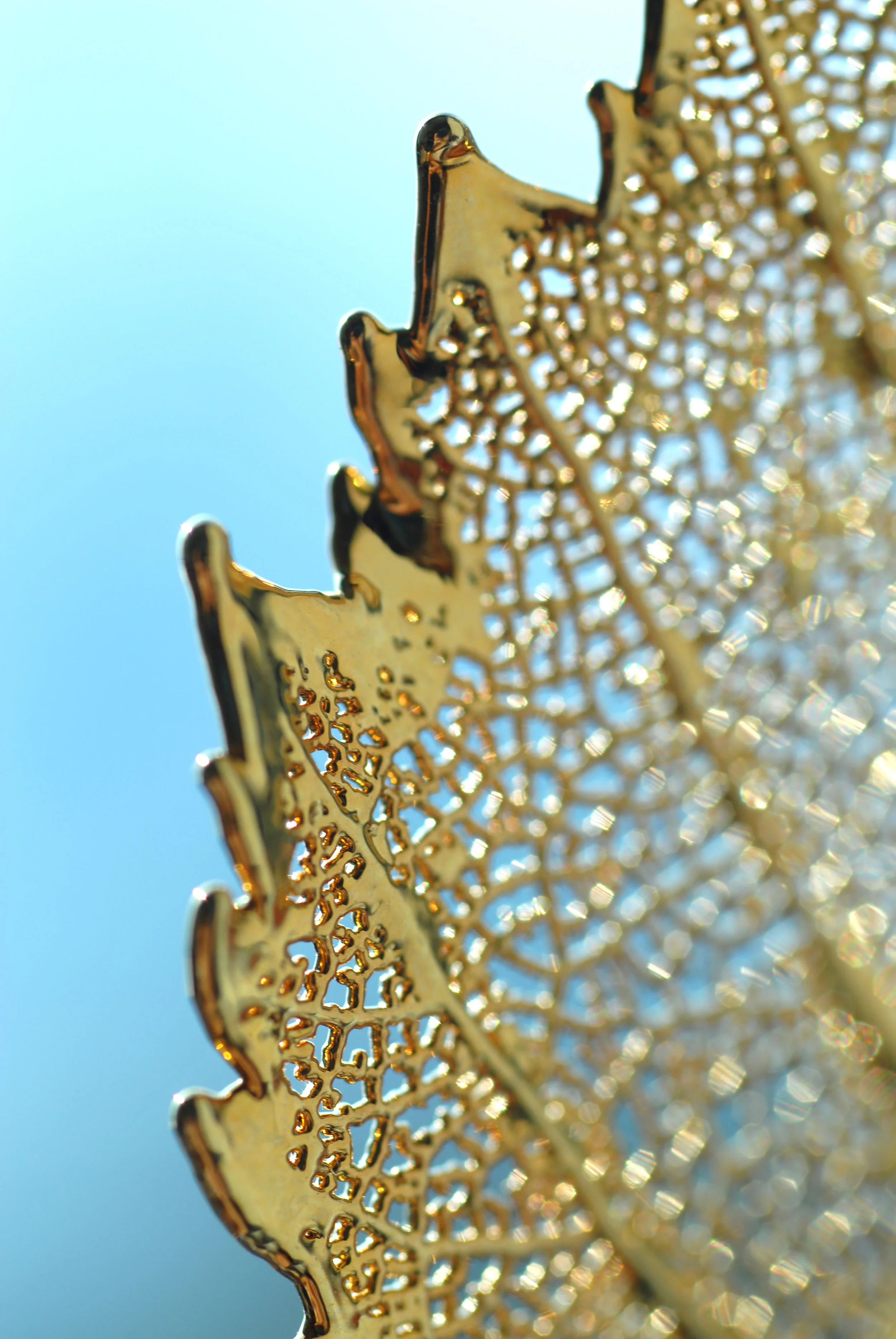 Gold Leaf on Turquoise