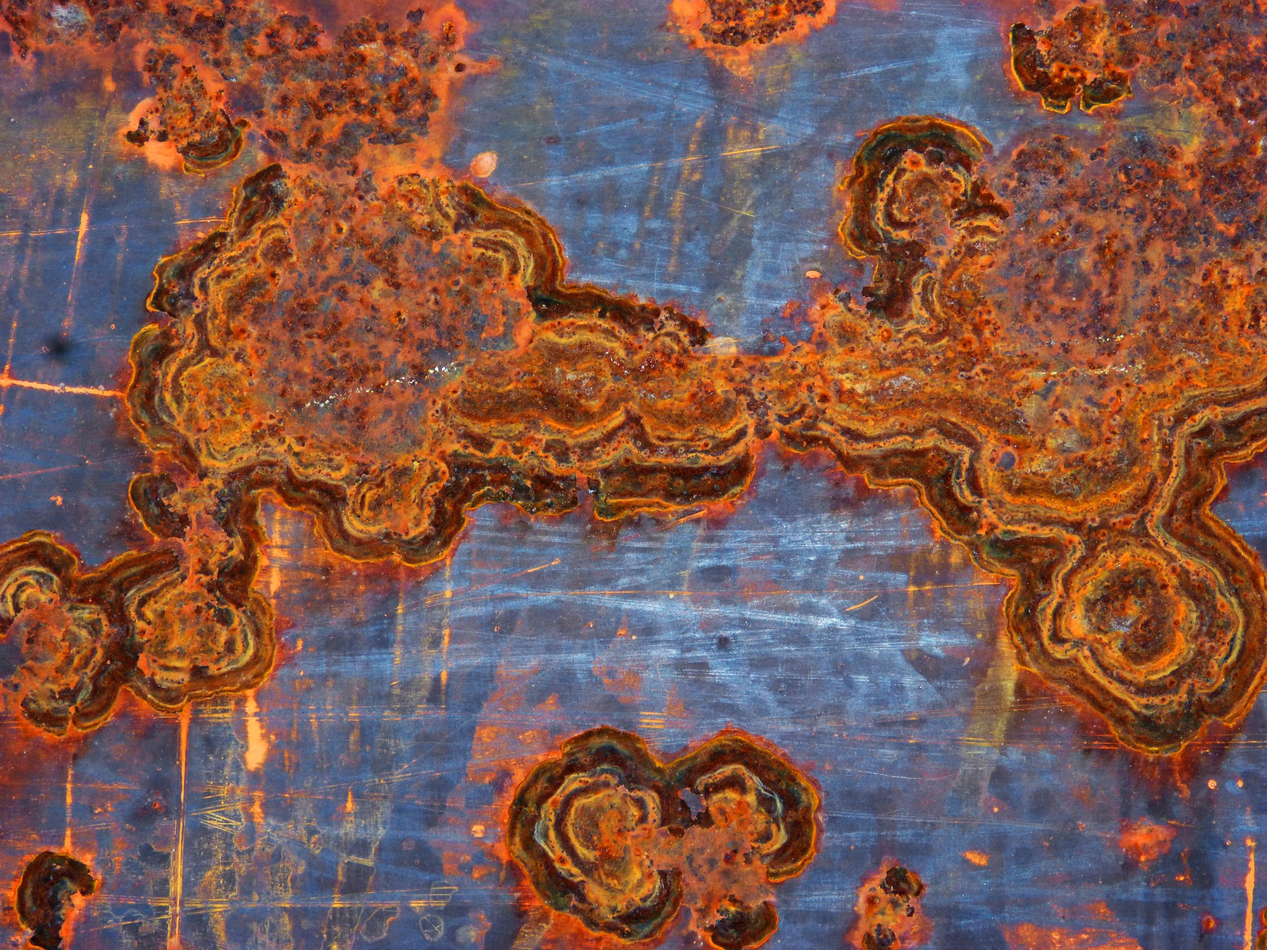 Oxidized Abstract 