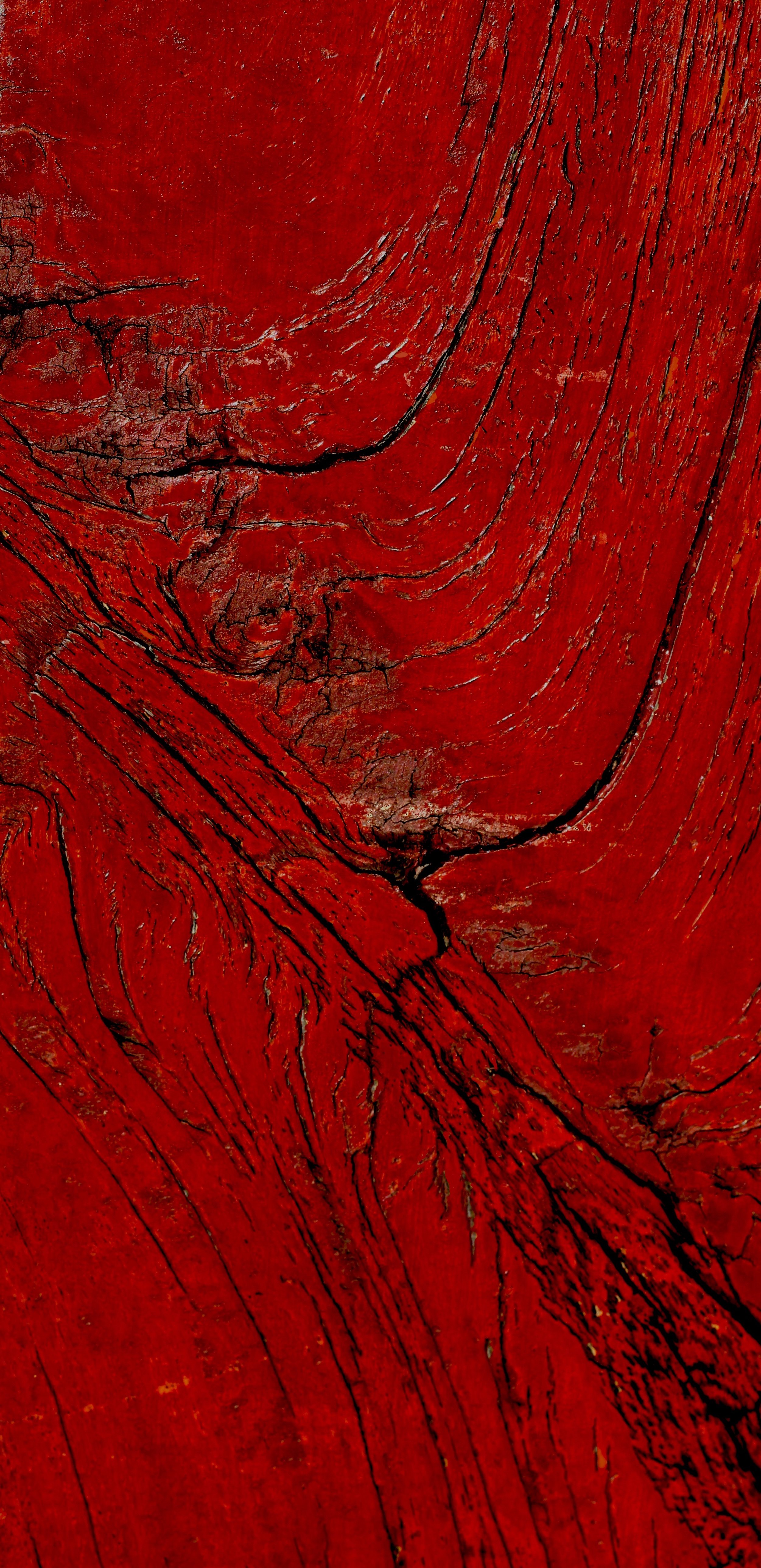 Red Wood