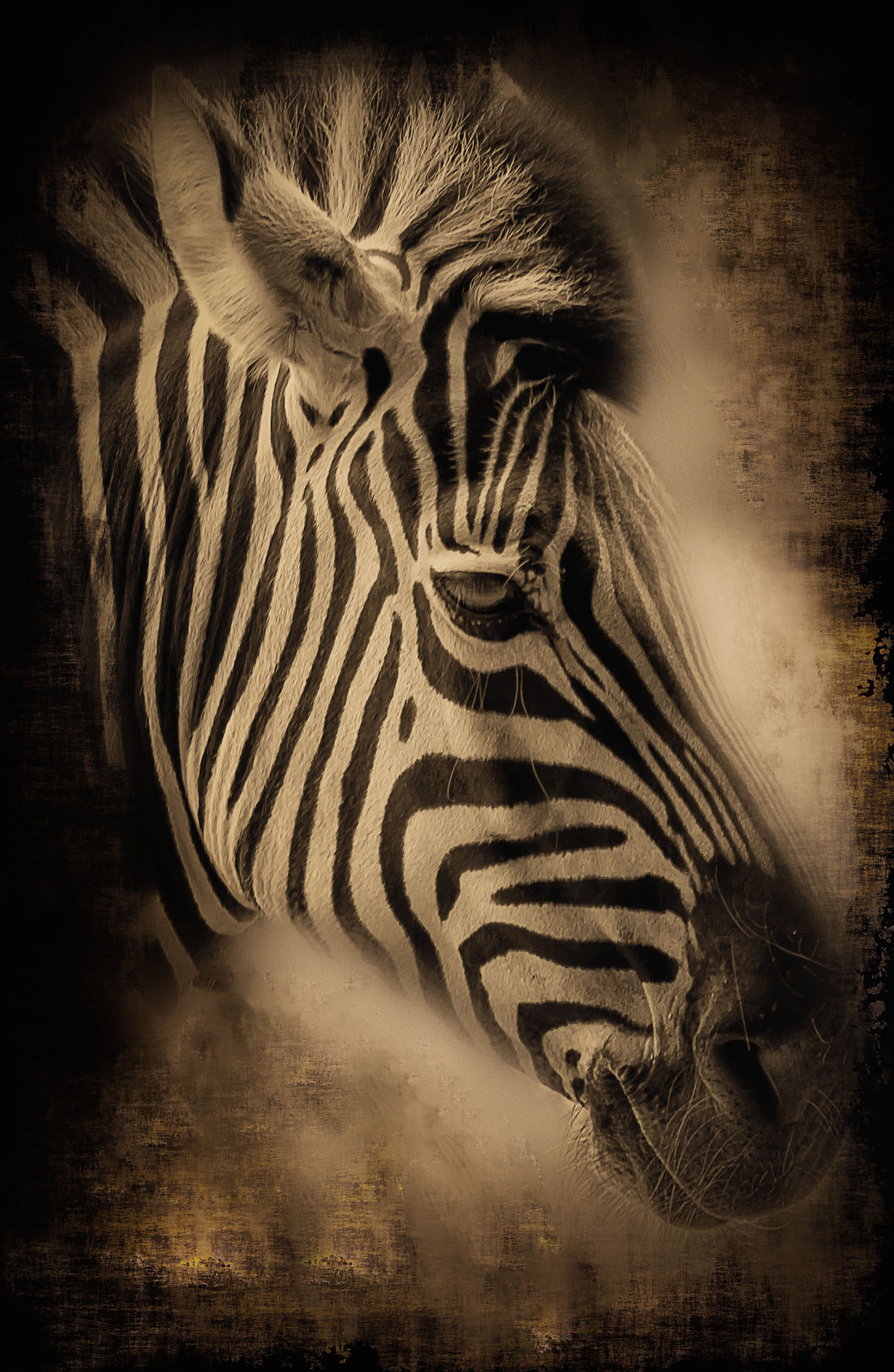 My Better Side 