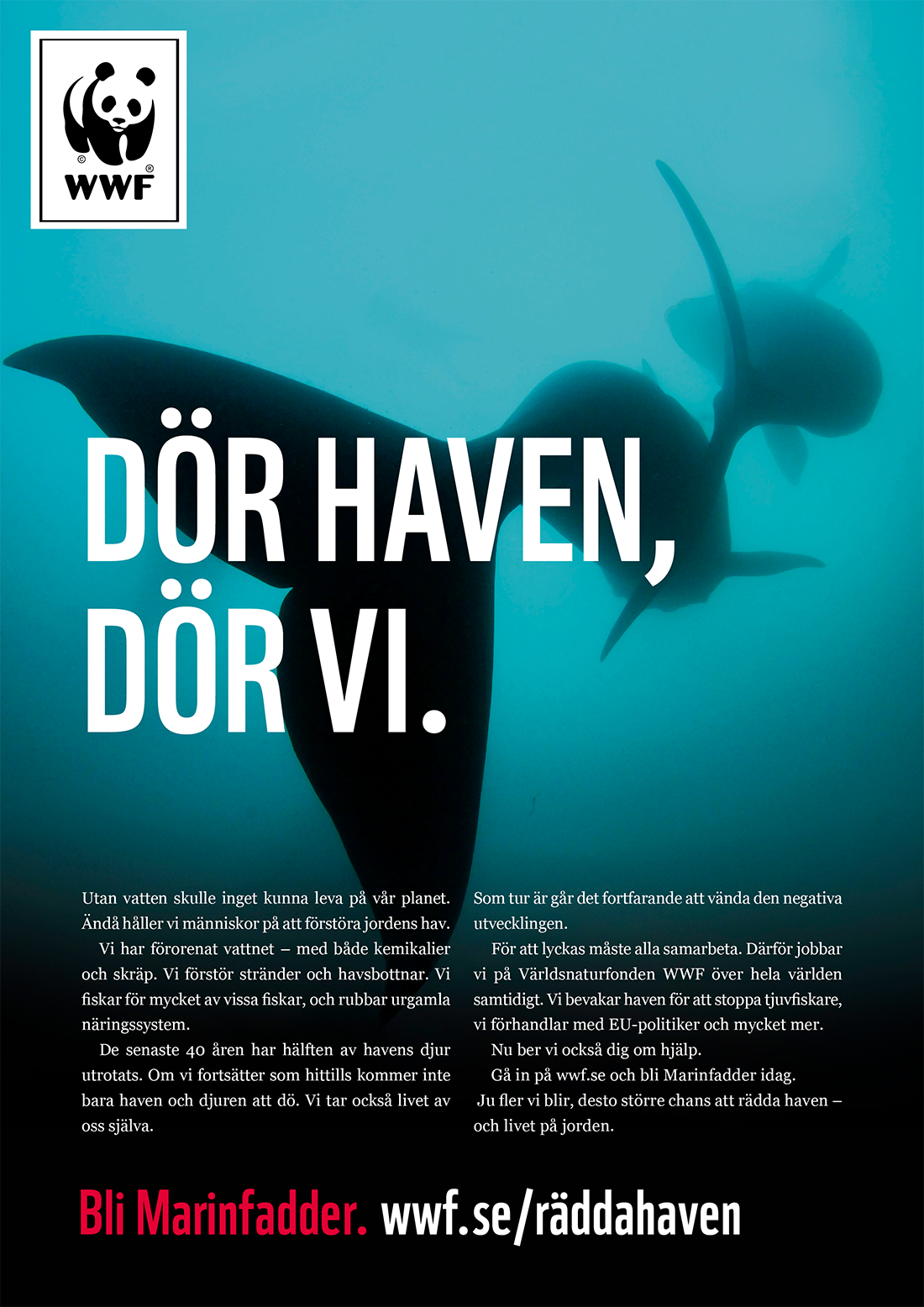 WWF Rädda Haven