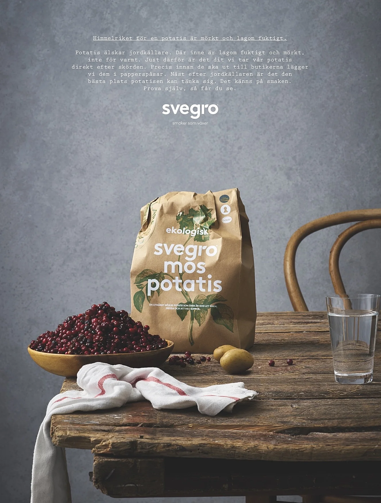 Svegro