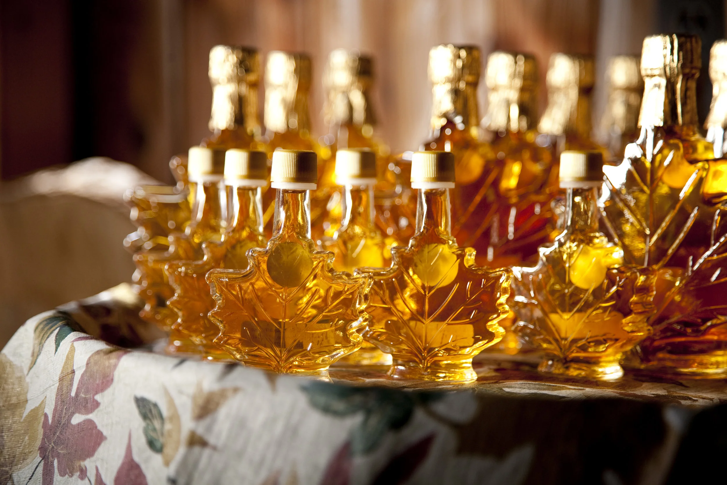 SPRAGUE VT 3_11 _20.jpg