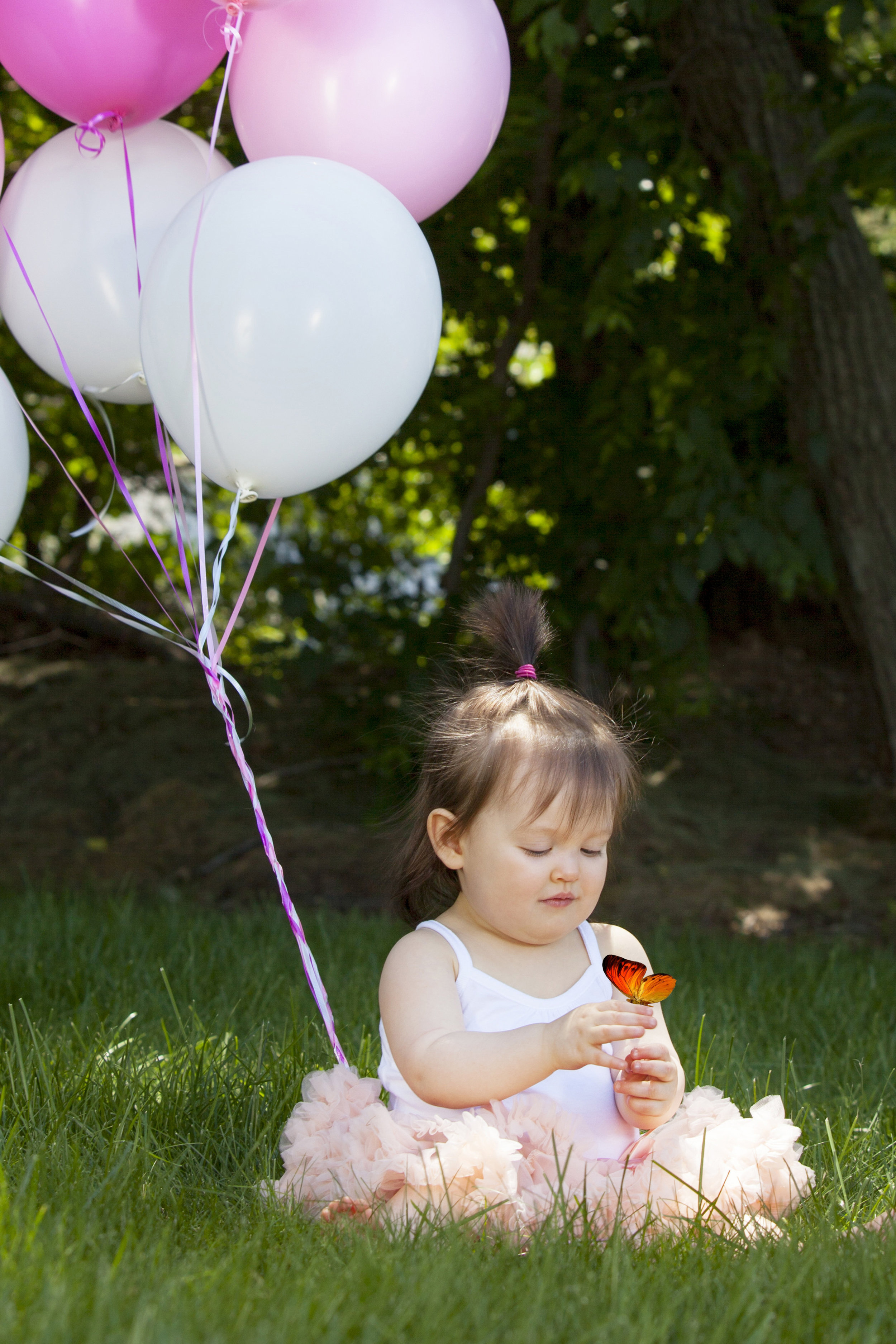 H&T ONE YR 6-17  088 butterfly crop .jpg