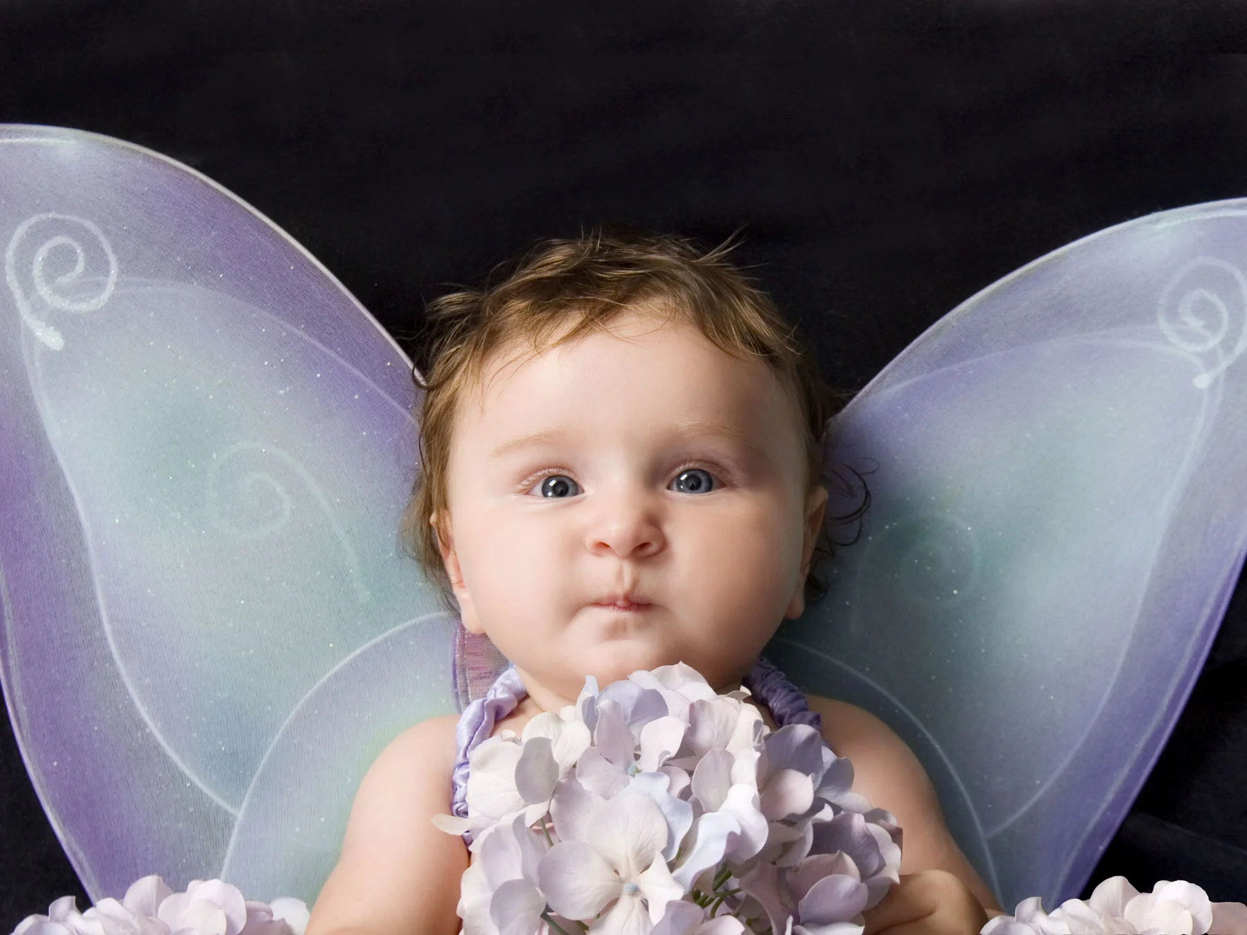 PERFICT BUTTERFLY.jpg