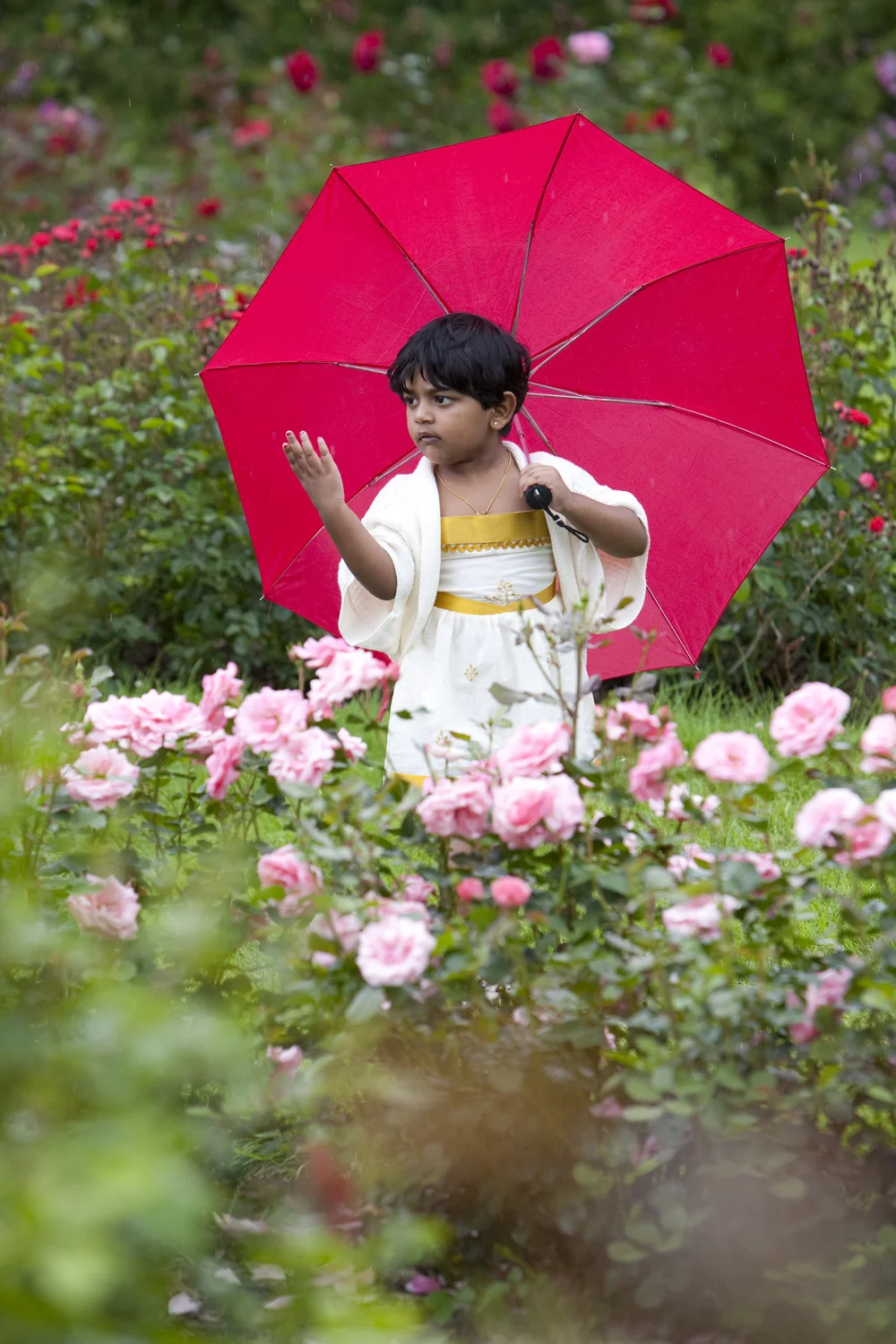 Elizabeth Garden 6-09 093.jpg