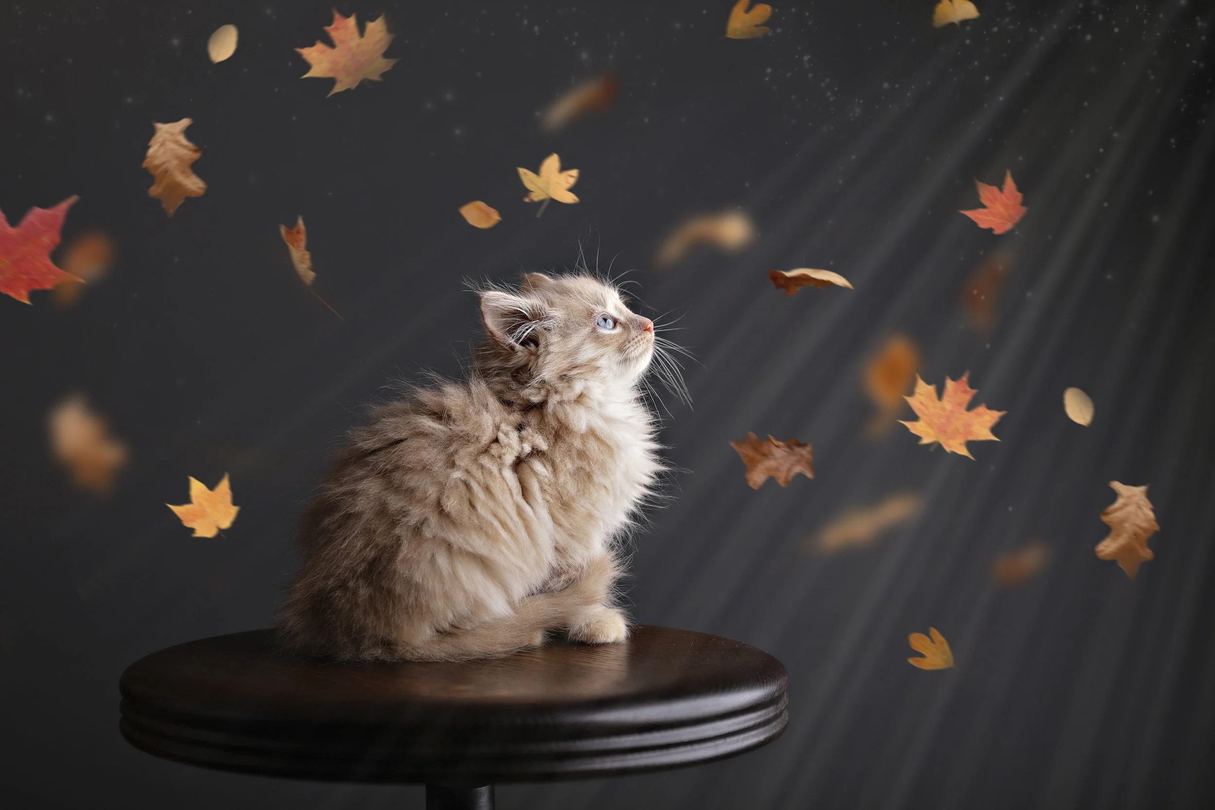 122518 joe & kids_-20g.jpg