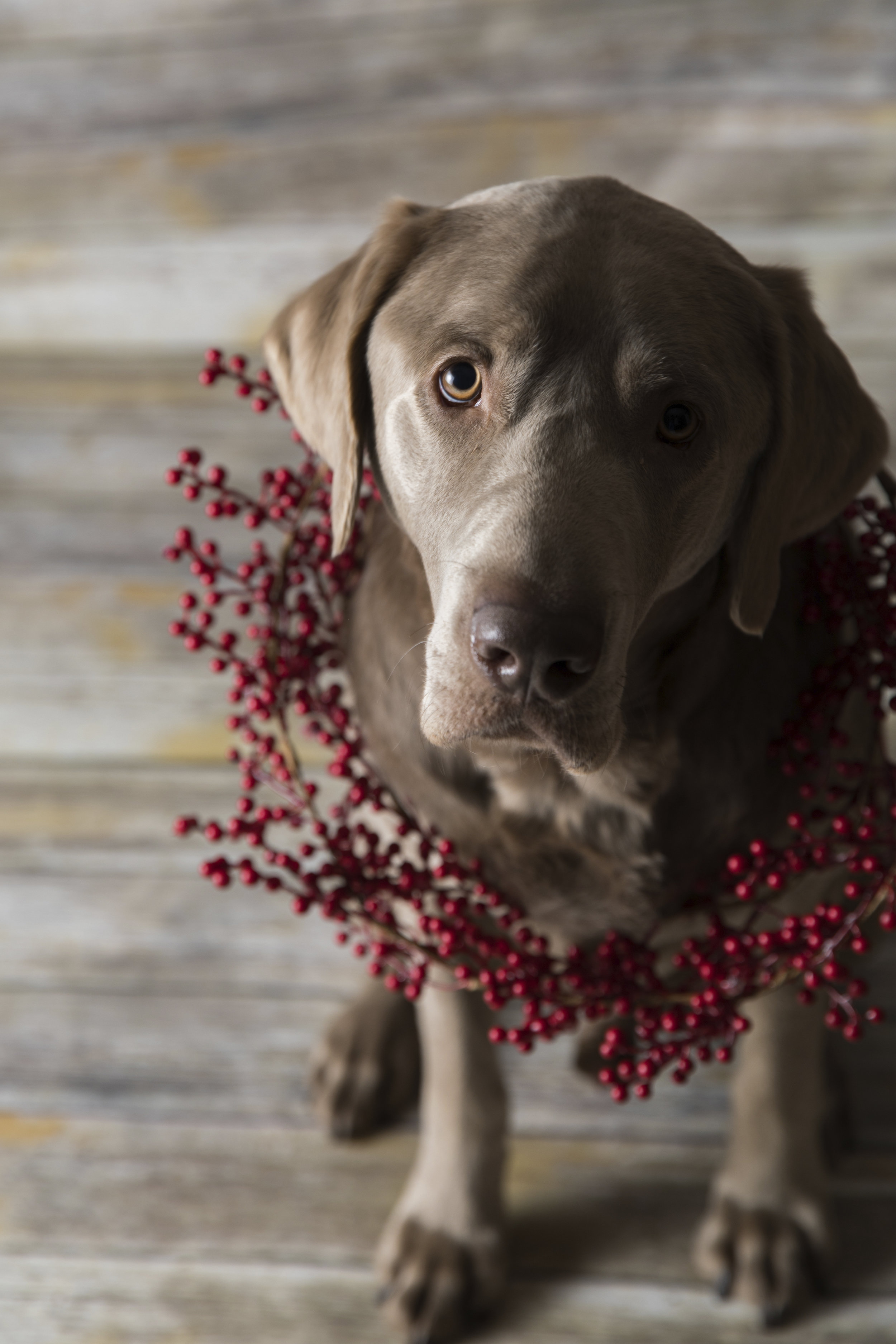 02162018 mav   008.JPG