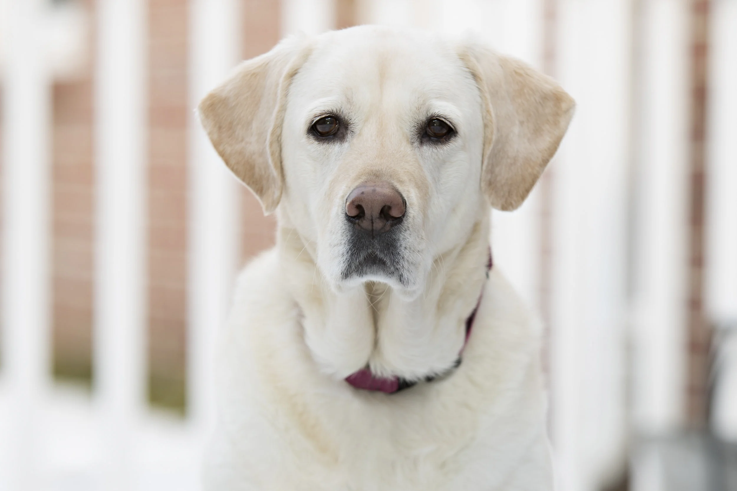 CHRISTMAS 2017-35a.jpg