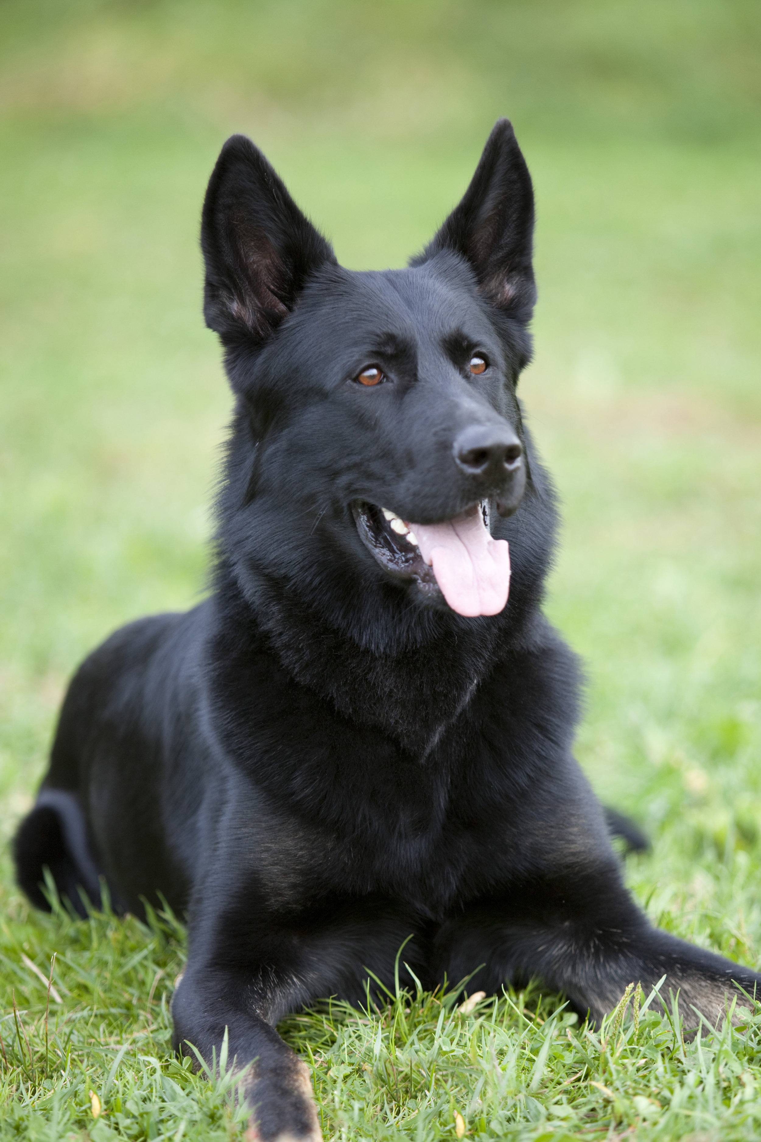 BETH 10_13       _88.jpg