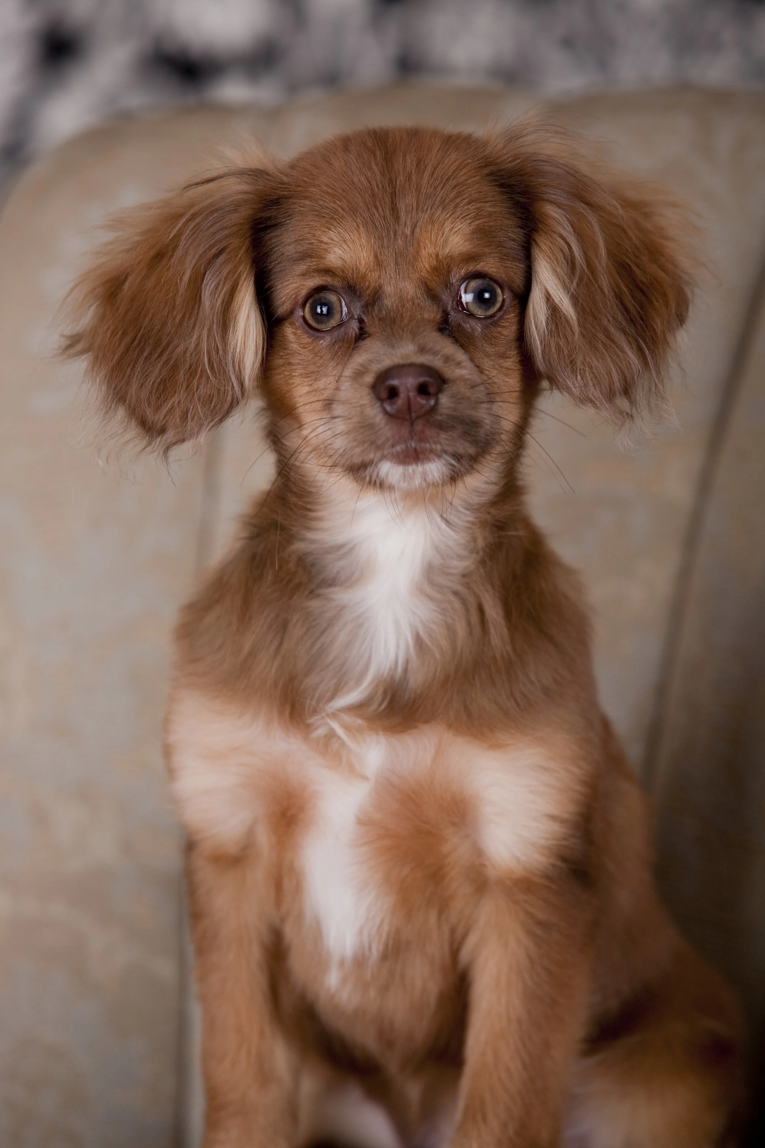 Hannah & mac 4_12   _48.jpg