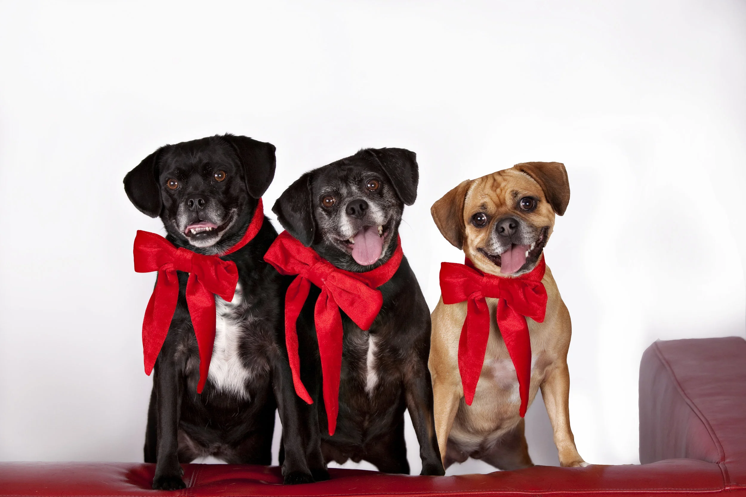 MARINA MARKOWSKI 11_11_8b.jpg