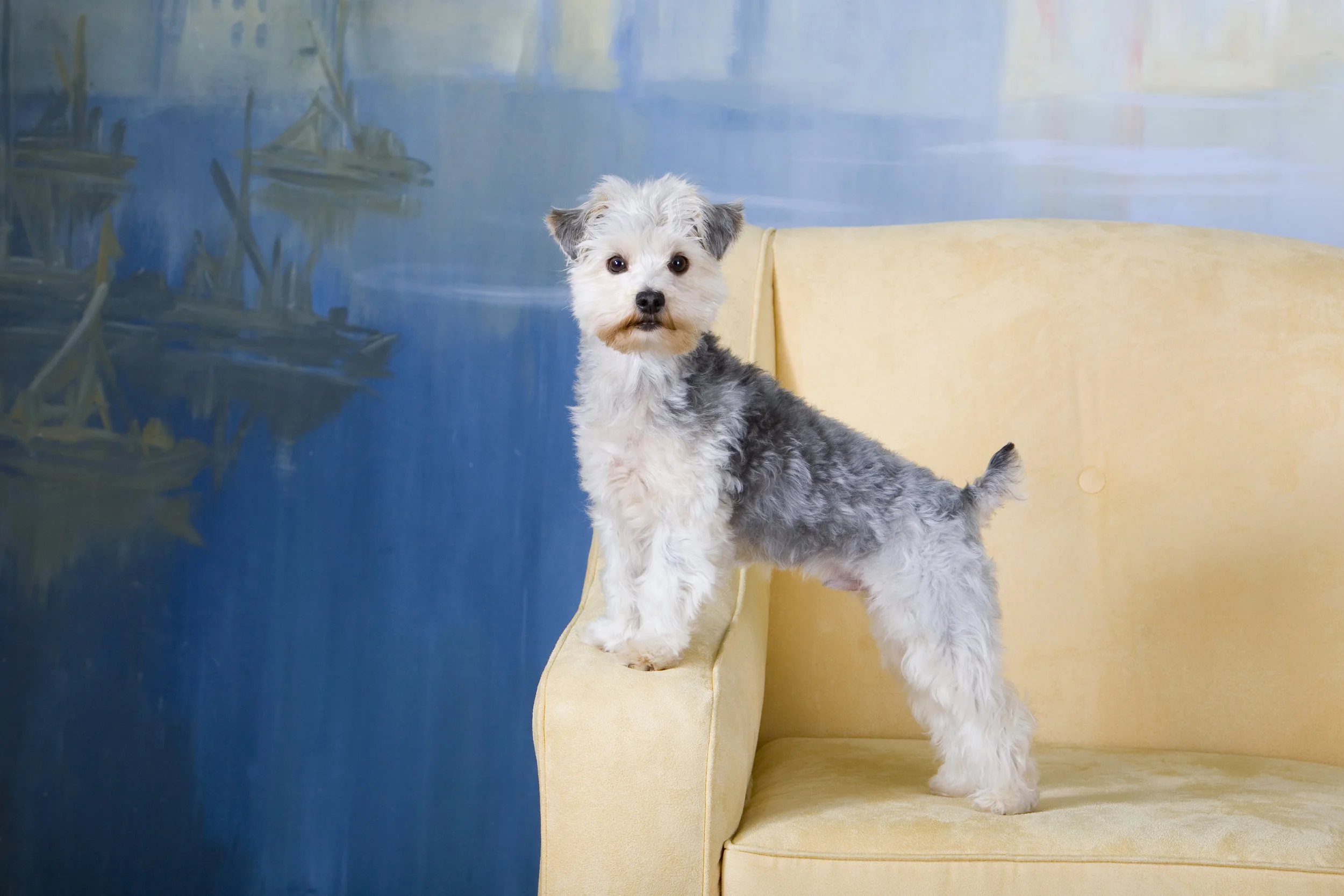 PINTER (PTC) 5-07 016.JPG