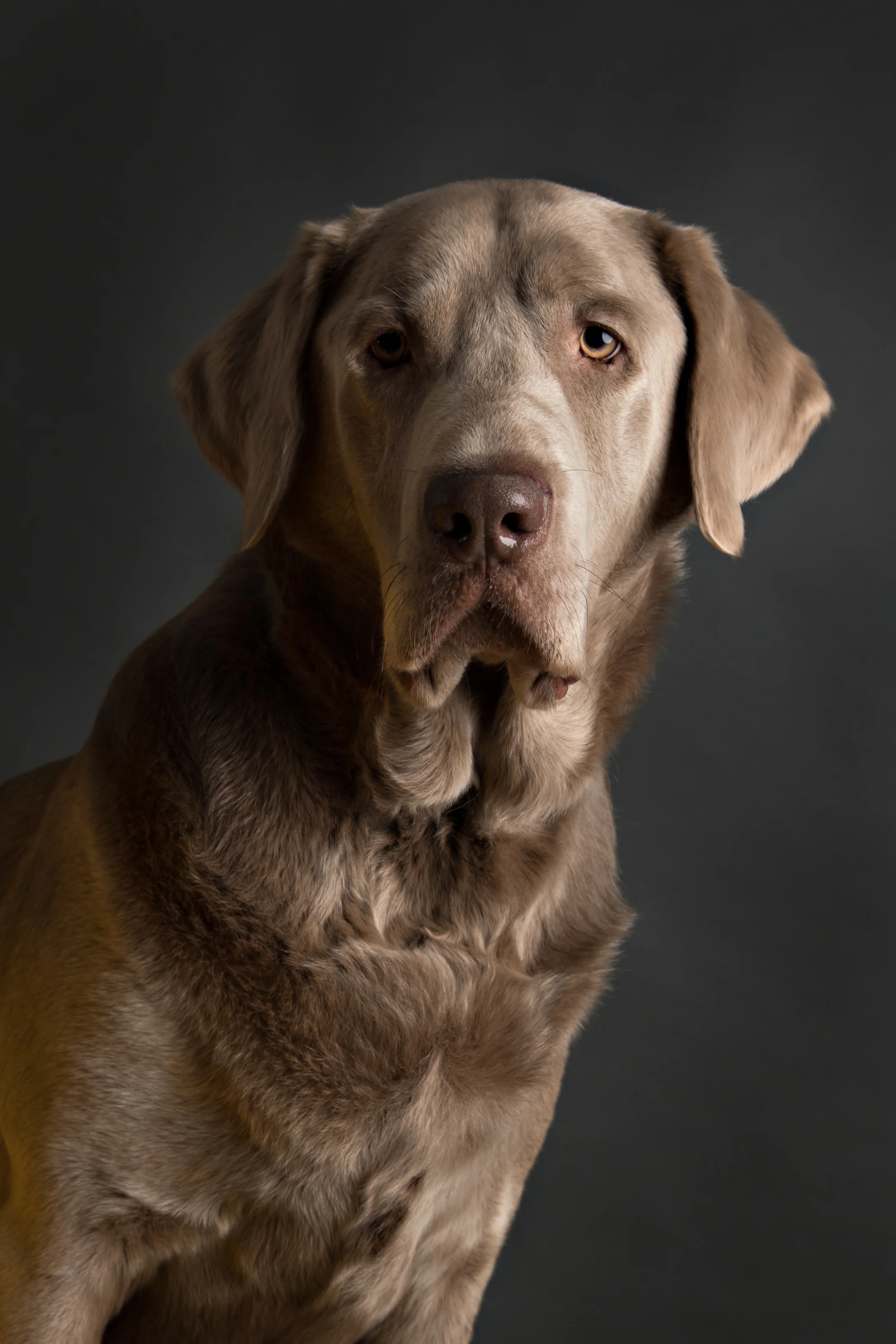 04092019 - FINN MAV PRU-9.jpg