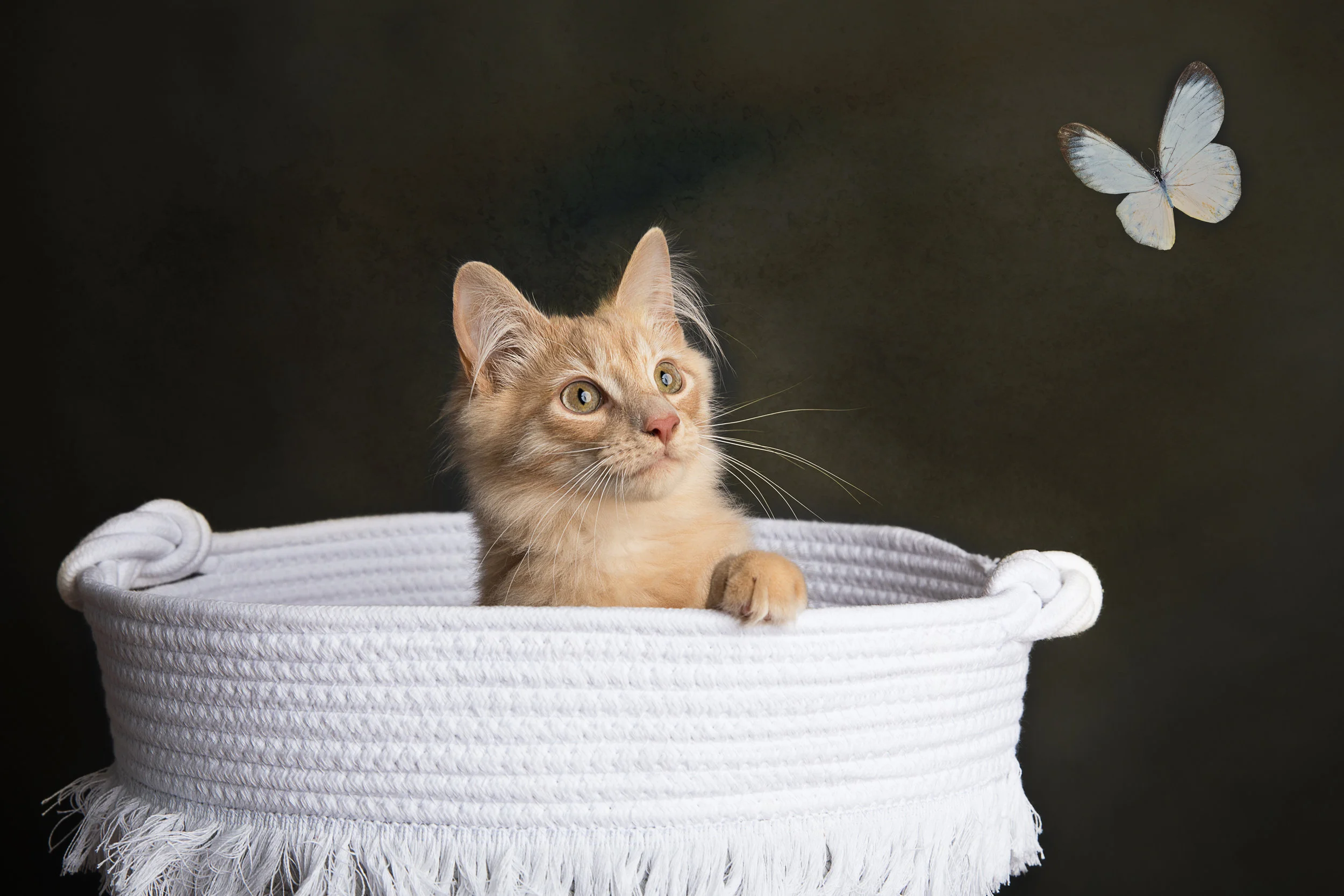 04092019 - FINN MAV PRU-30c.jpg