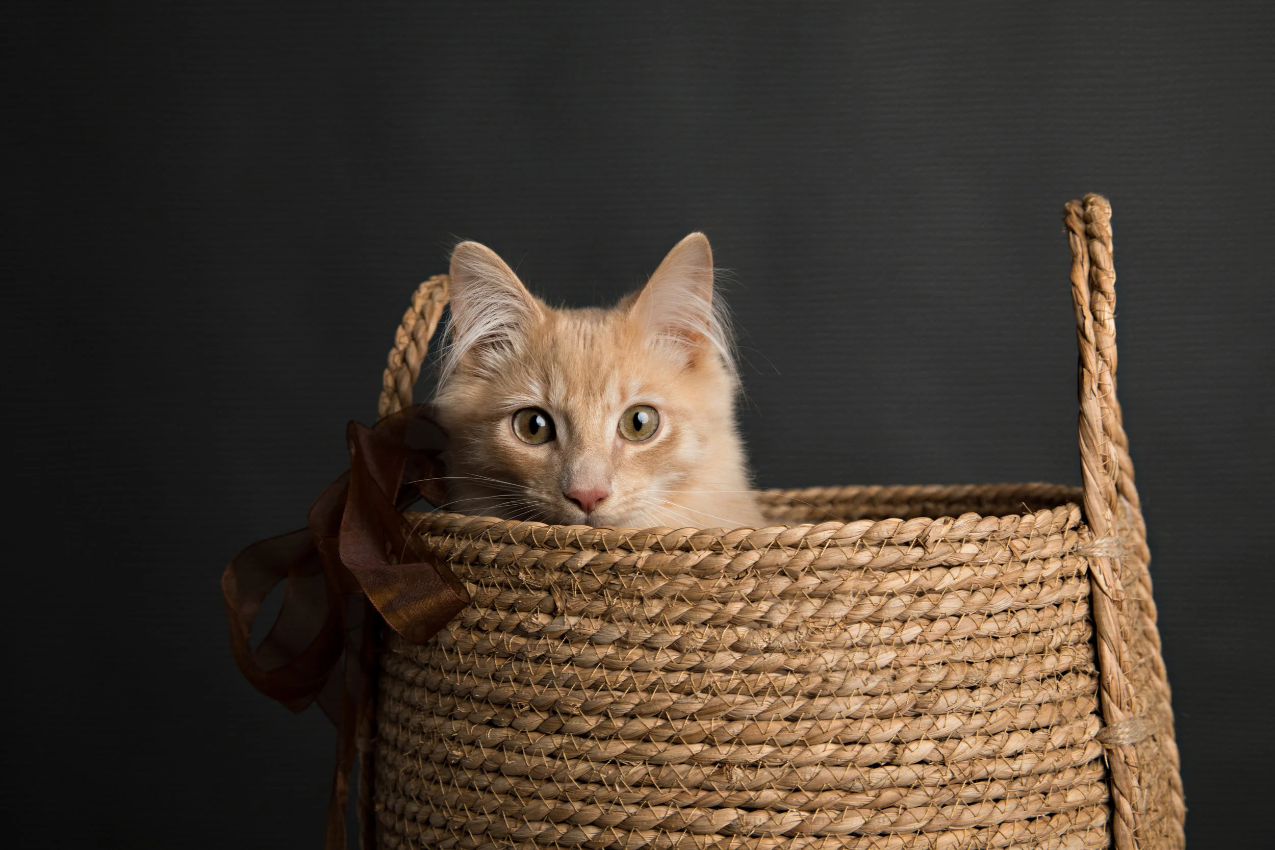 04092019 - FINN MAV PRU-26a.jpg