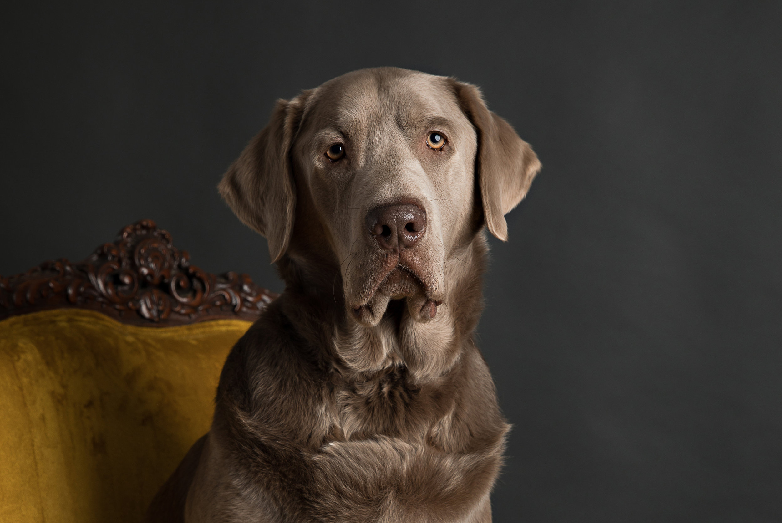 04092019 - FINN MAV PRU-5.jpg