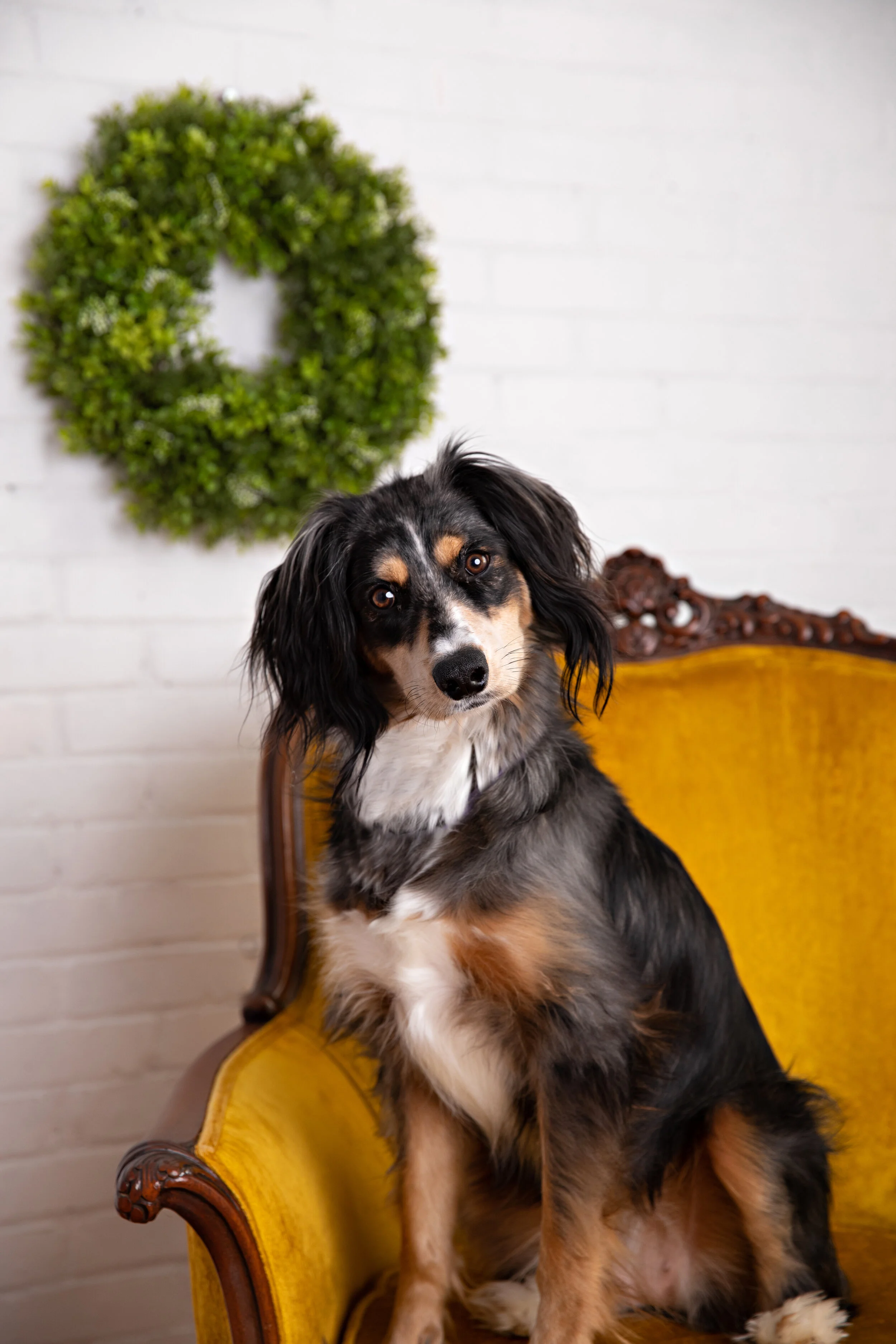 2020-12-26 kori & sam-6.jpg