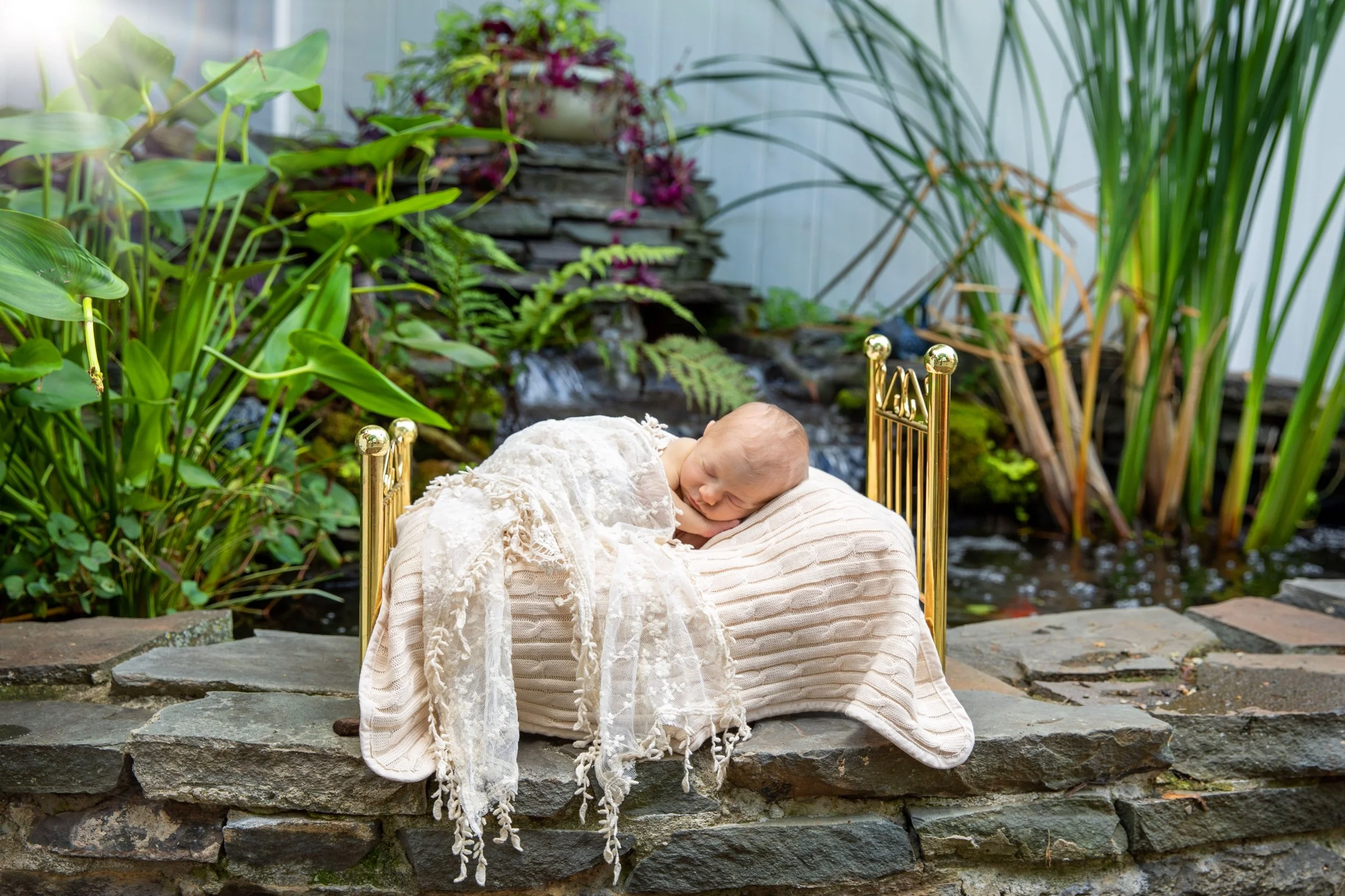 2022-08-27 LINDSAY _115b.jpeg