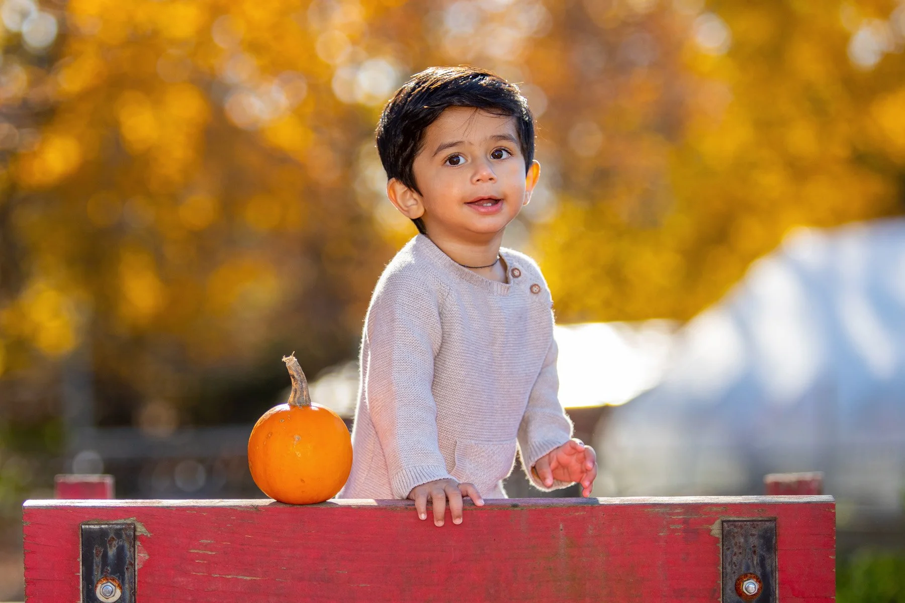 2021-11-06  NANCY PATEL JPG-43.jpg