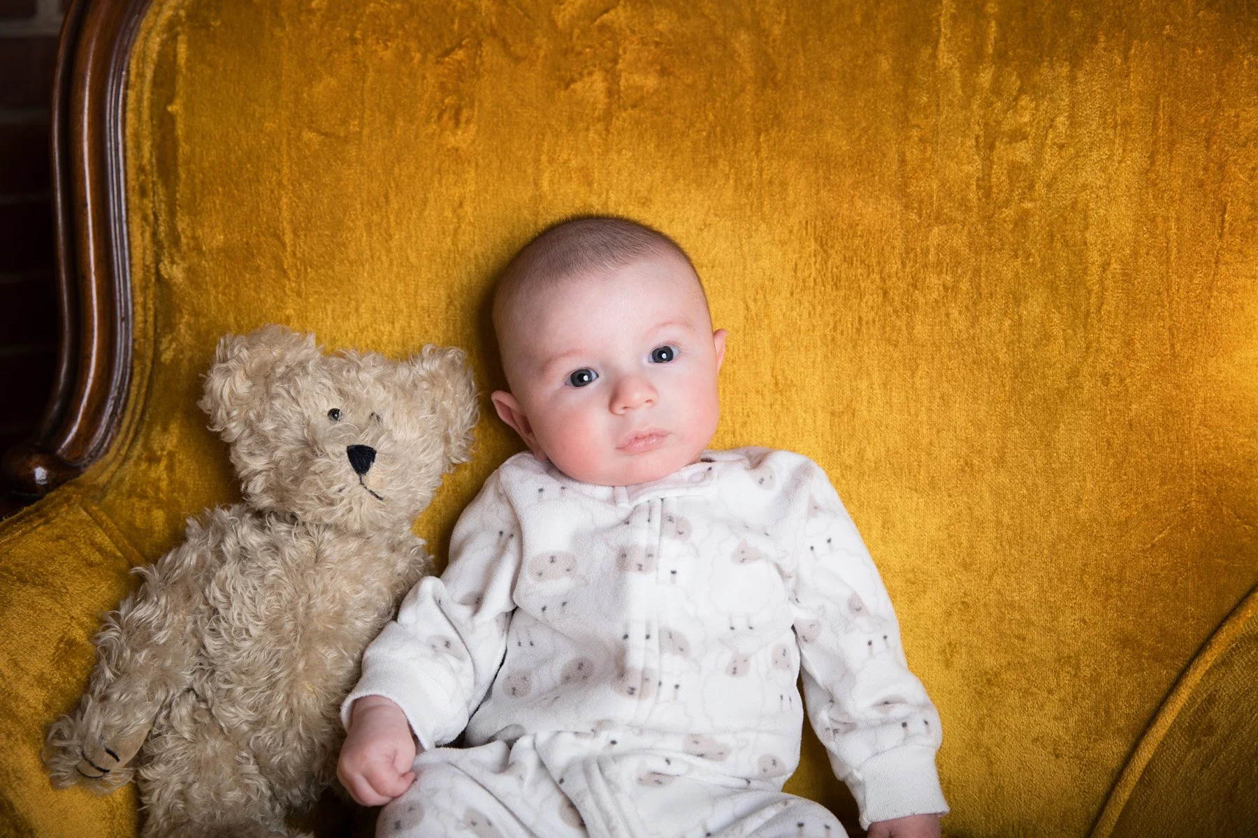 02092019 sherkow_-87 copy.jpg