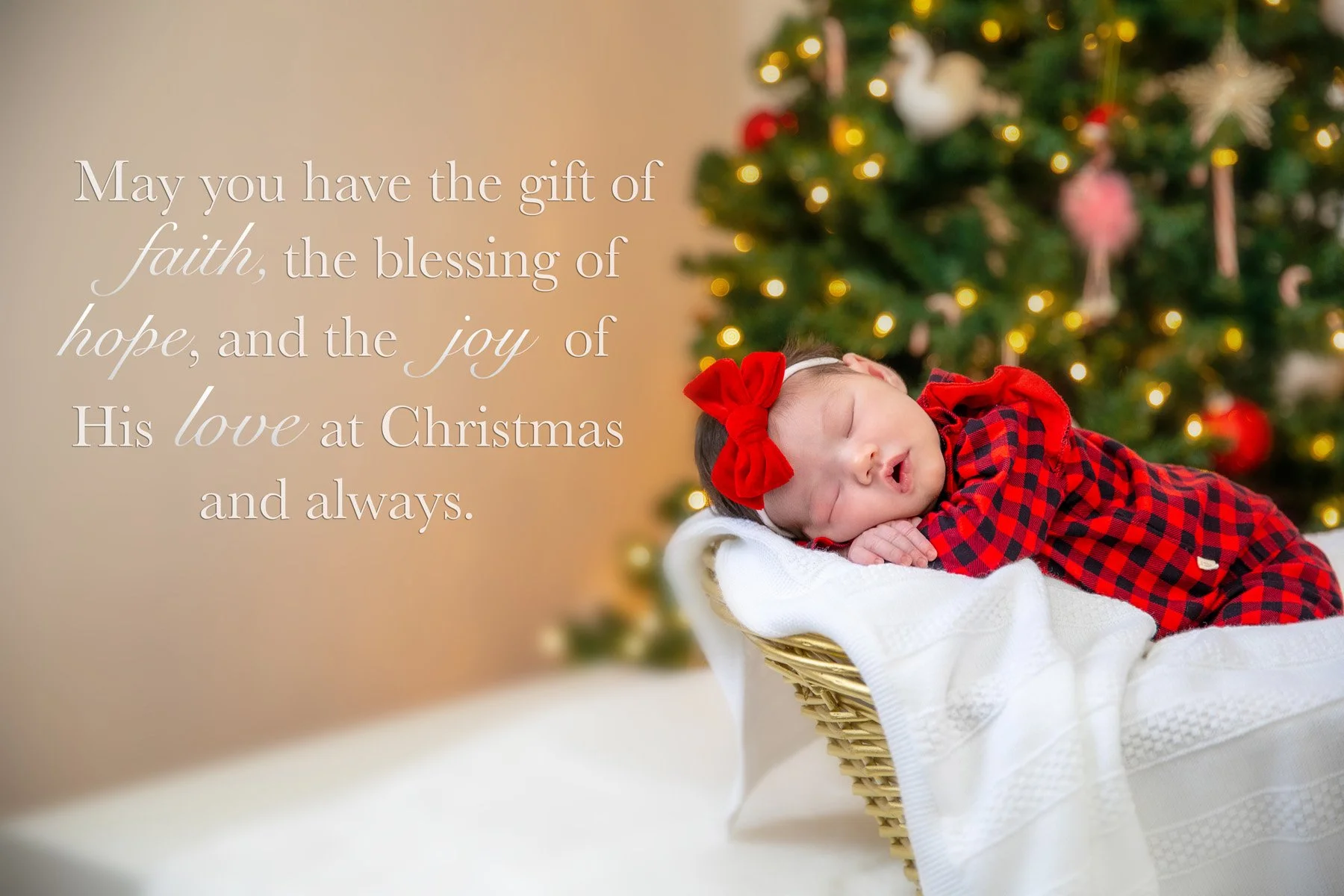 CHRISTINA & NICOLAS ARCANGELO-43A.jpg