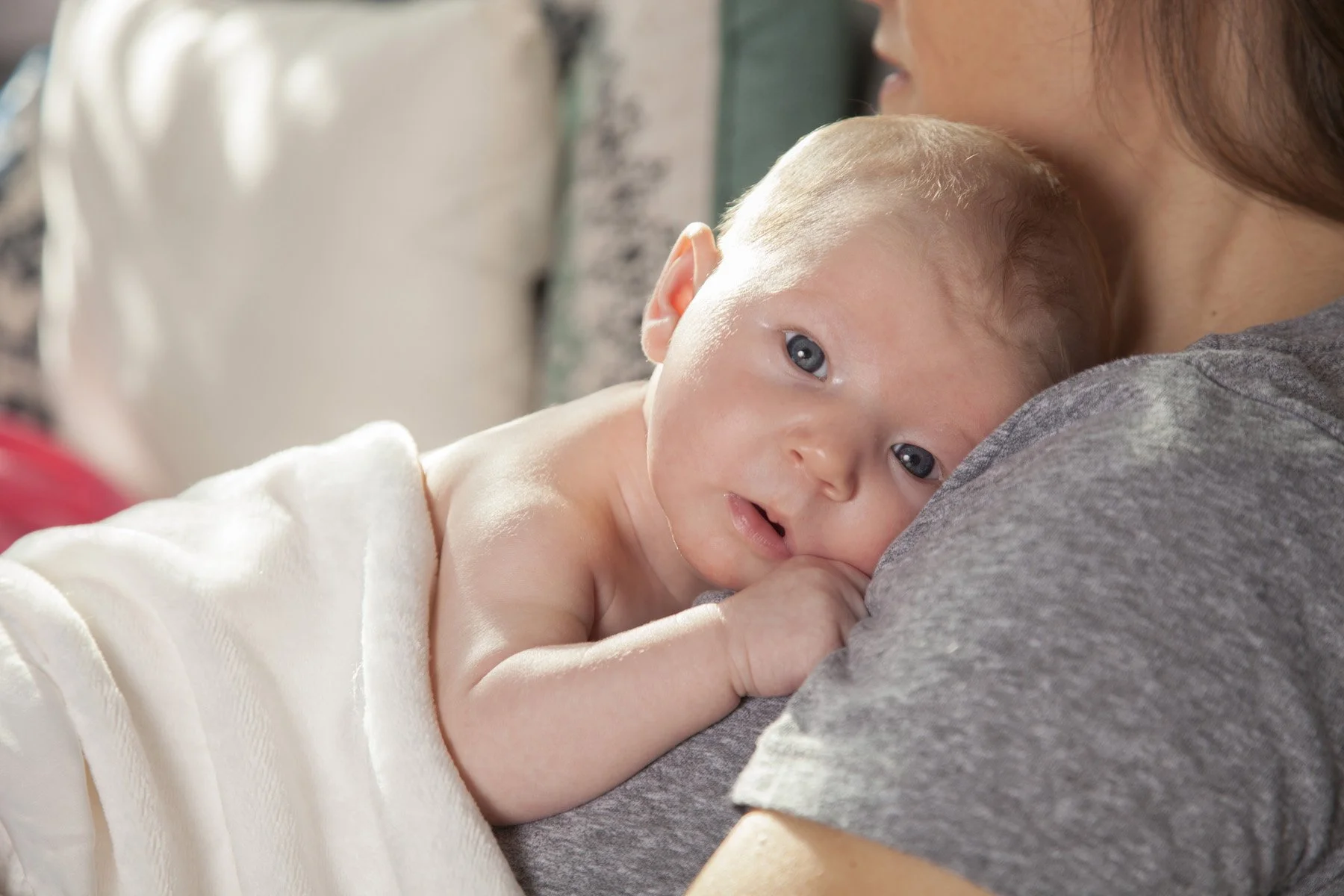 GAB 12-2016  032 2.jpg