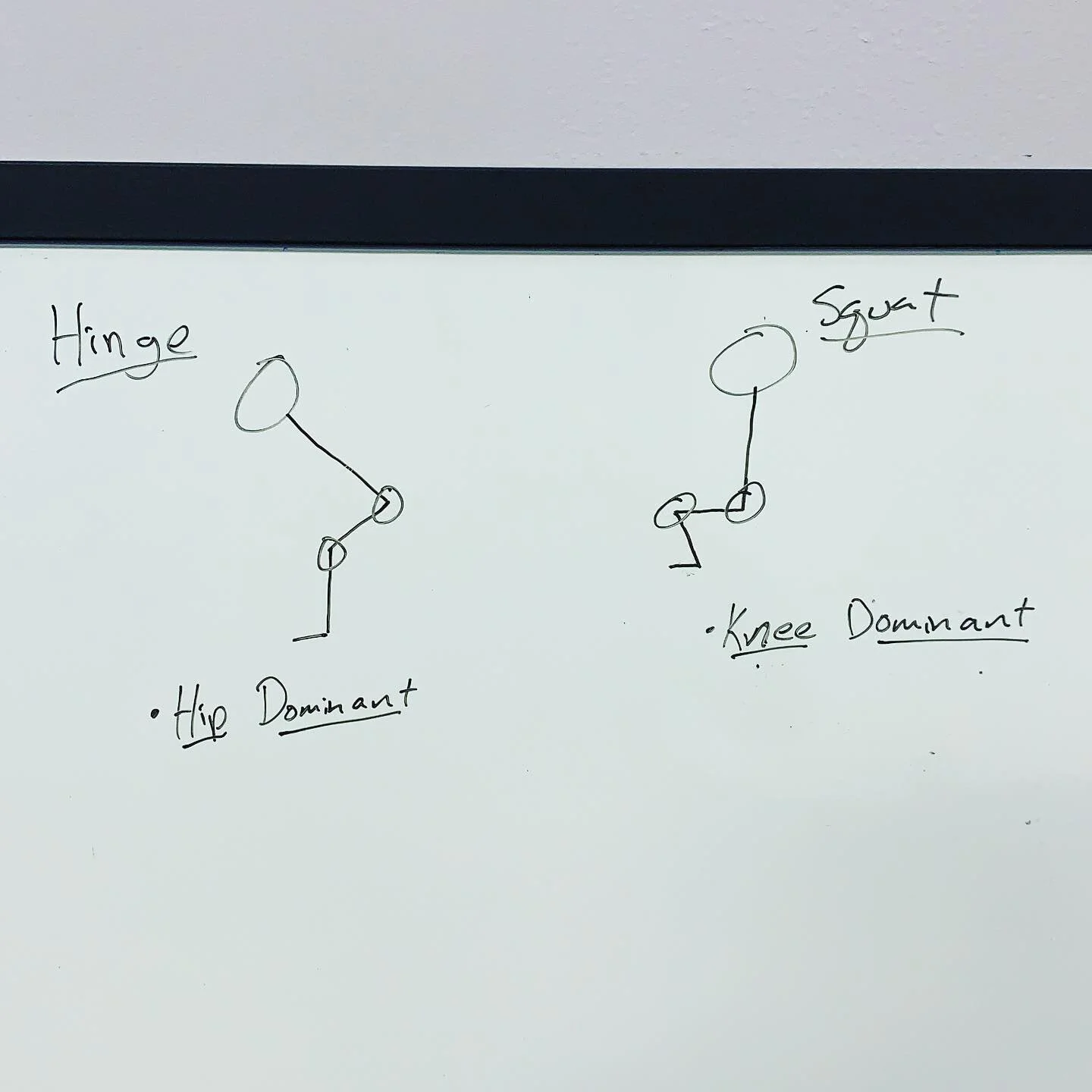 Quick drawing to show the anatomical difference of the Hip Hinge and the Squat. The Hip Hinge is a hip dominate exercise which means we are primarily training the muscles which act upon the hip. The Squat is a knee dominate exercise which means we ar