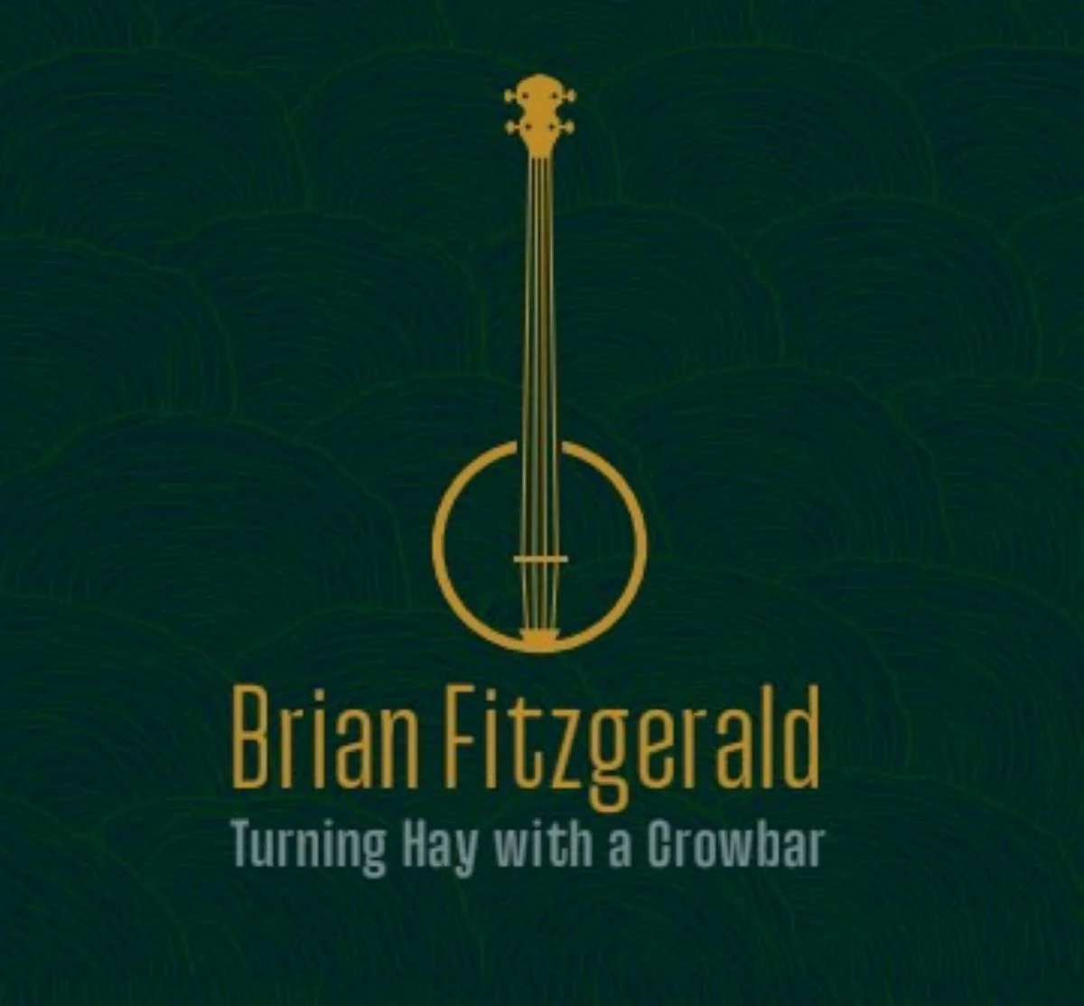 Brian Fitzgerald CD launch (Michael) Fleadh Cheoil an hEireann