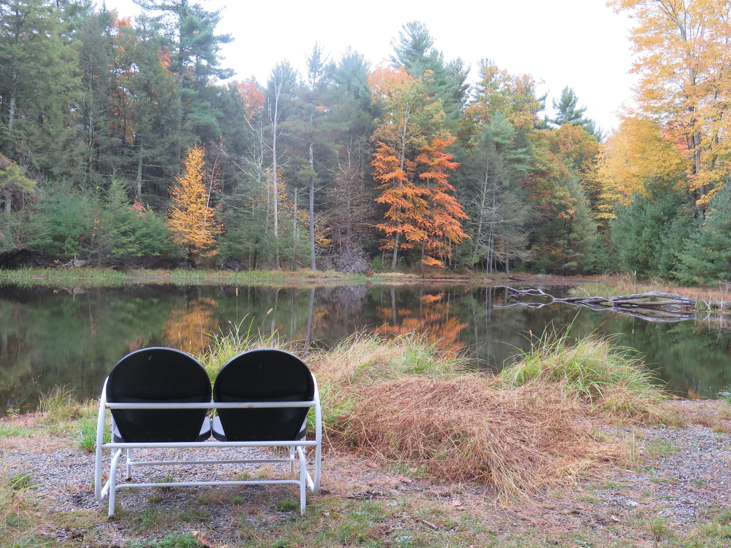  Photo by Athena Azevedo © 2017 - All Rights Reserved 