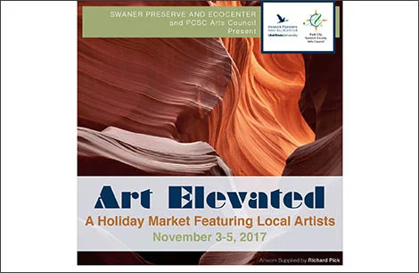 Art Elevated 2017 Artist Registration