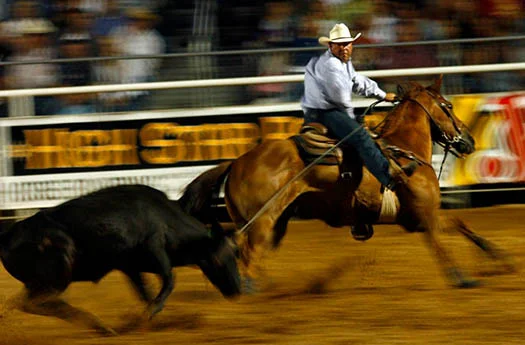 oakley+rodeo+image.jpeg