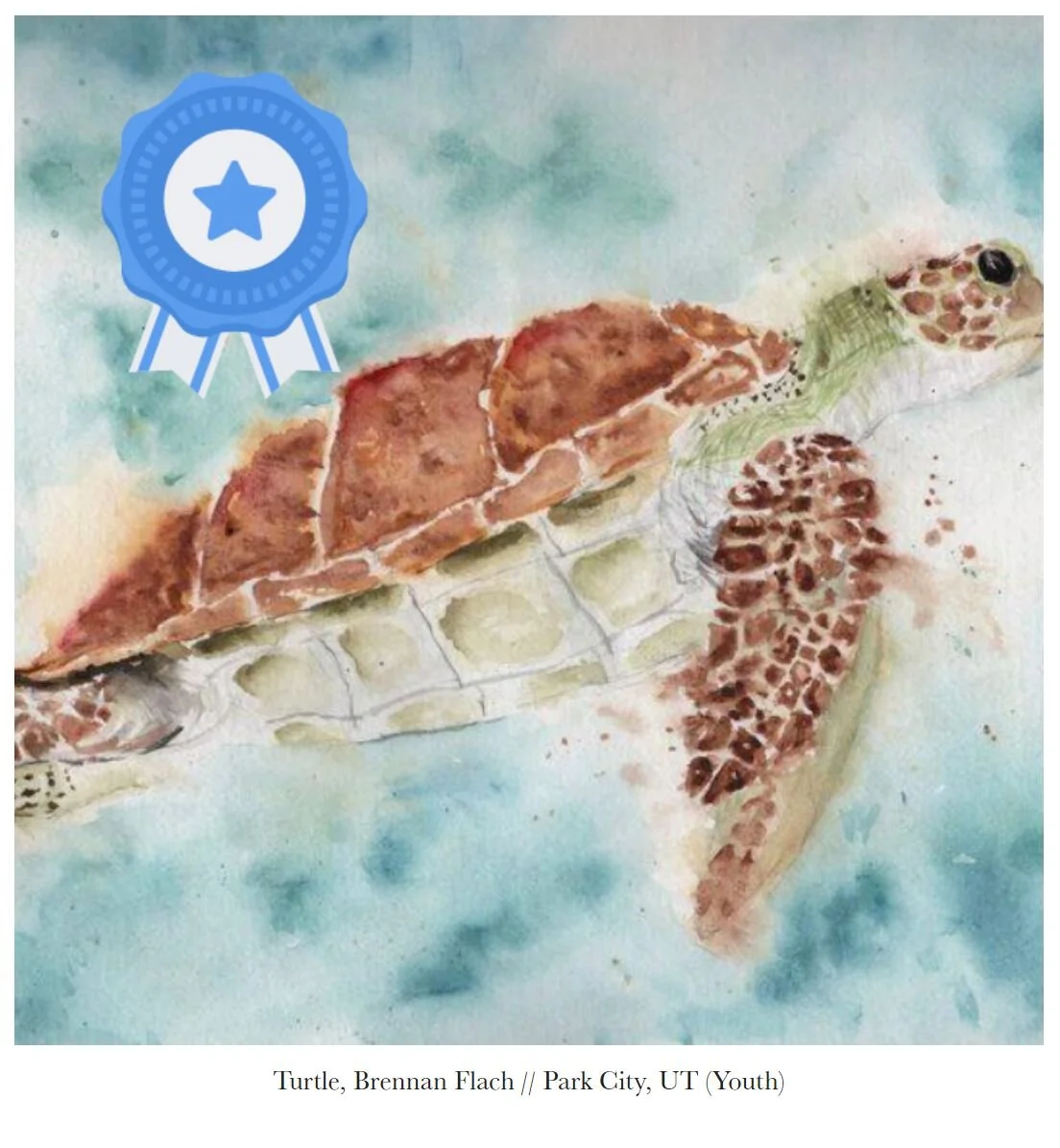 Summit County Public Art Board's Favorite Local Pieces // "Turtle" from the 2020 Summit County Fair Fine Art Show
