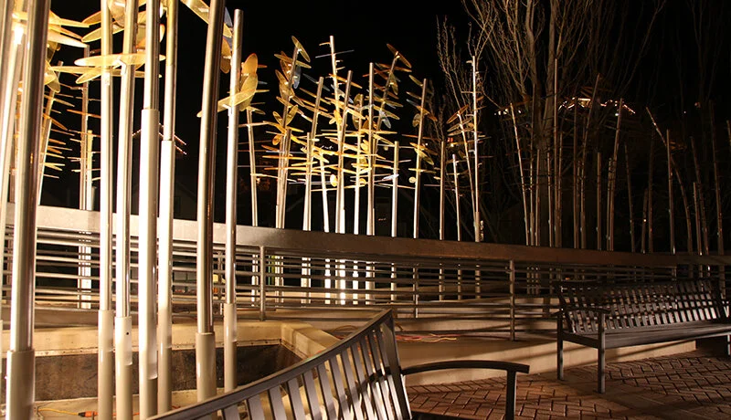 OSU+SHELTERING+ASPENS+WEB4-+800x460.jpg