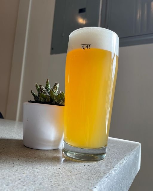 beer glass.jpg