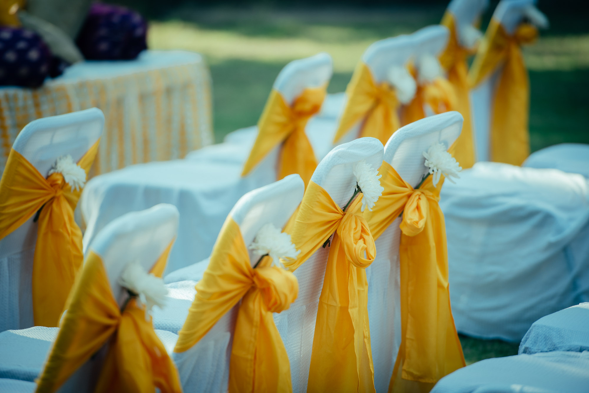 Wedding-11.jpg