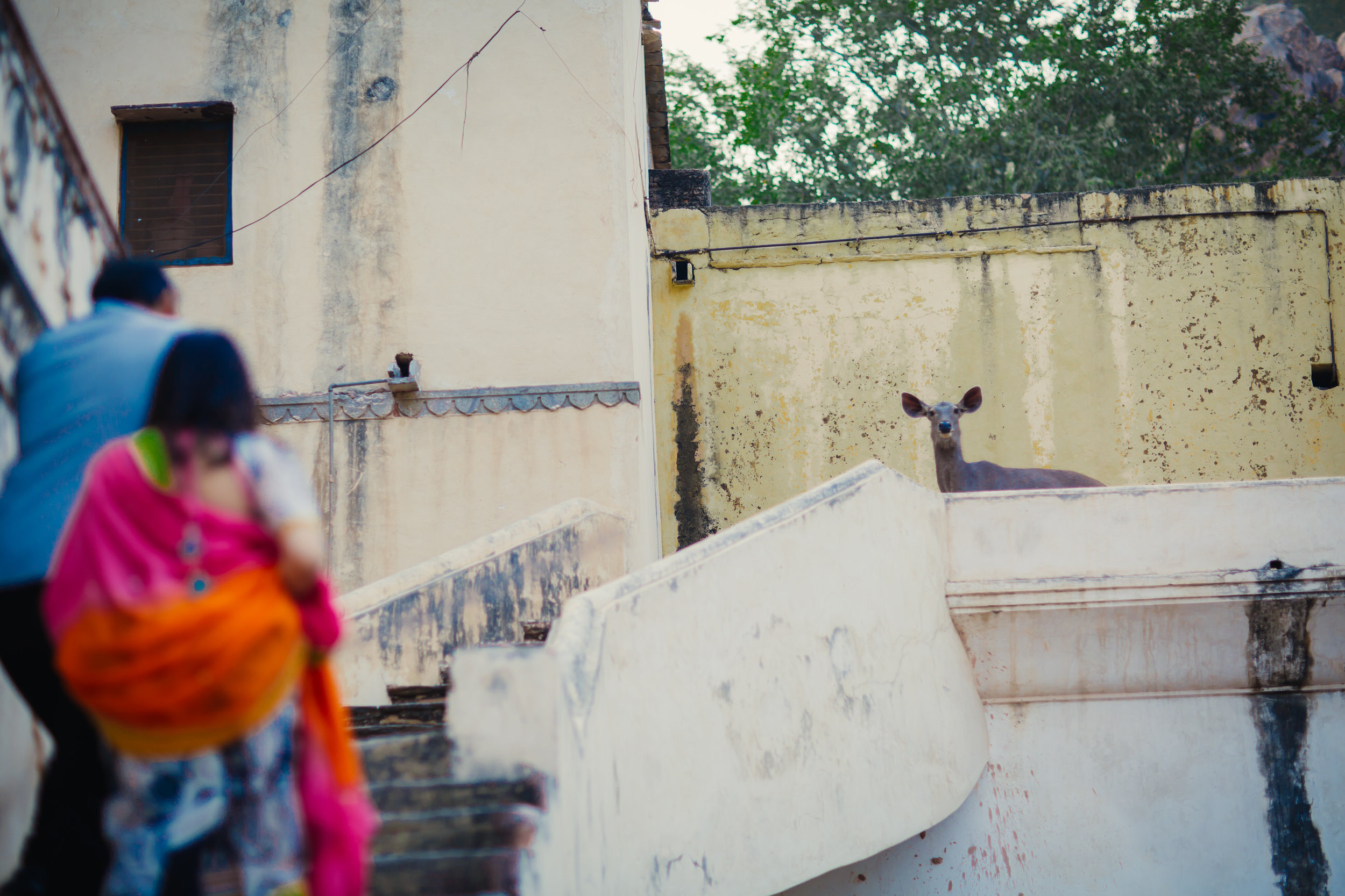 Pallavi & madhav pre wed (47 of 235).jpg
