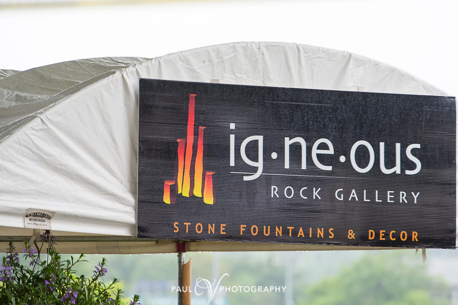 Igneous Rock4.jpg